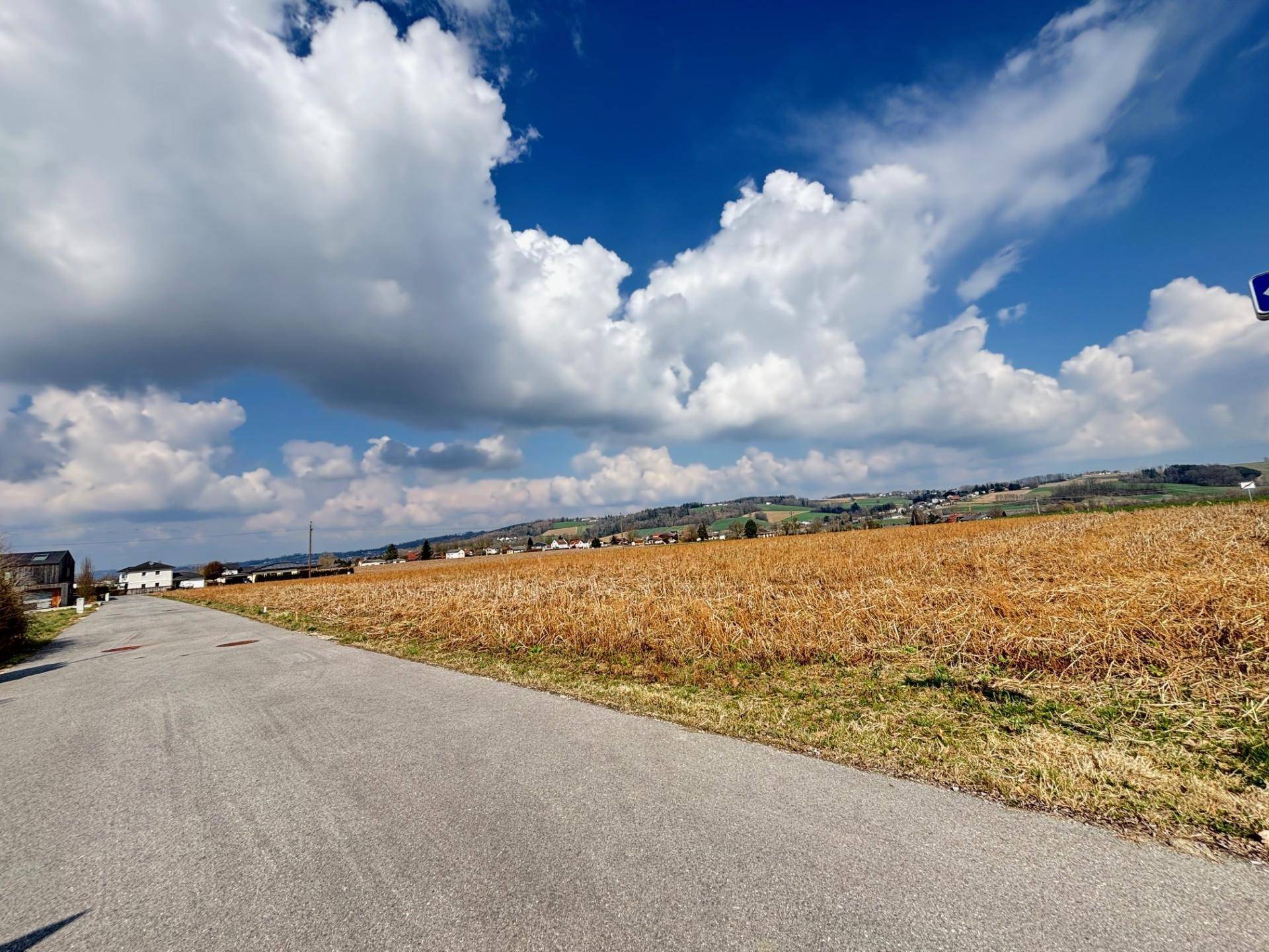 Baugrund sonnige und ebene Lage in Haid - Ansicht 4