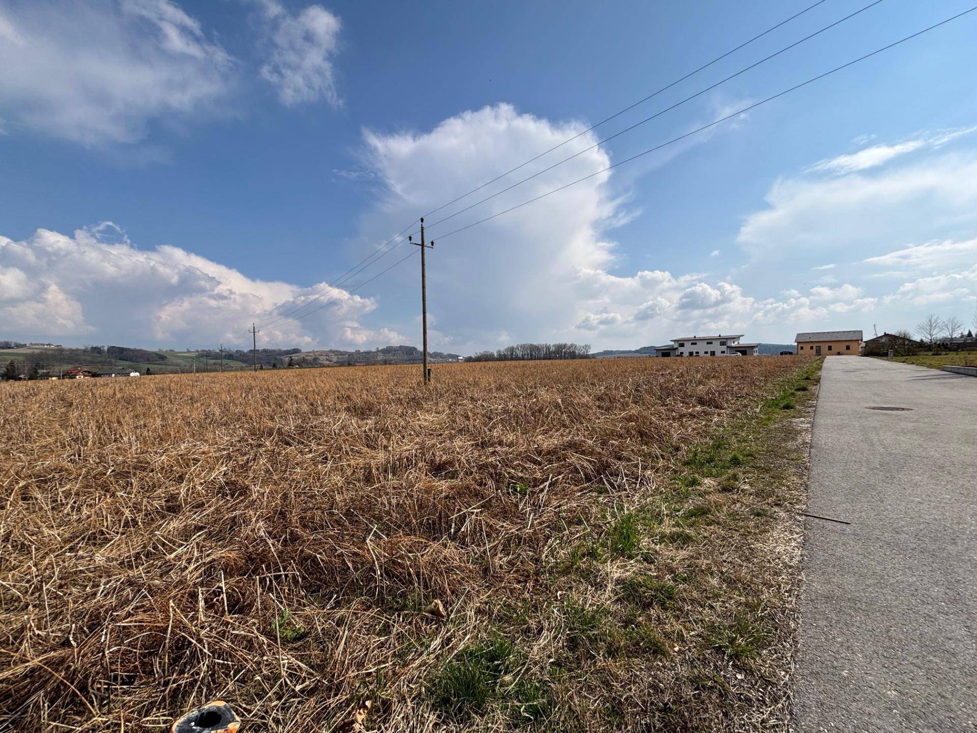Baugrund sonnige und ebene Lage in Haid - Ansicht 2