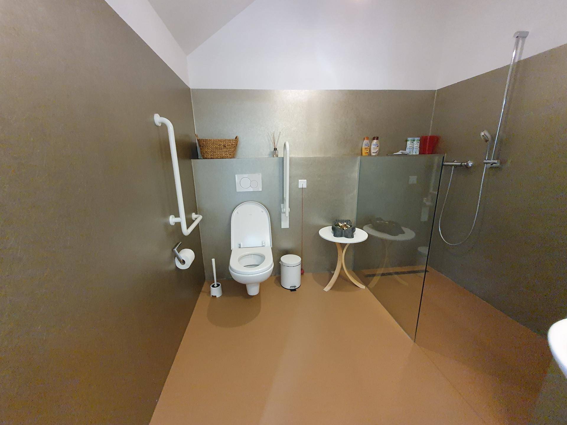 Barrierefreies Badezimmer mit Haltegriffen an Toilette und Dusche sowie einer modernen Glasduschwand.