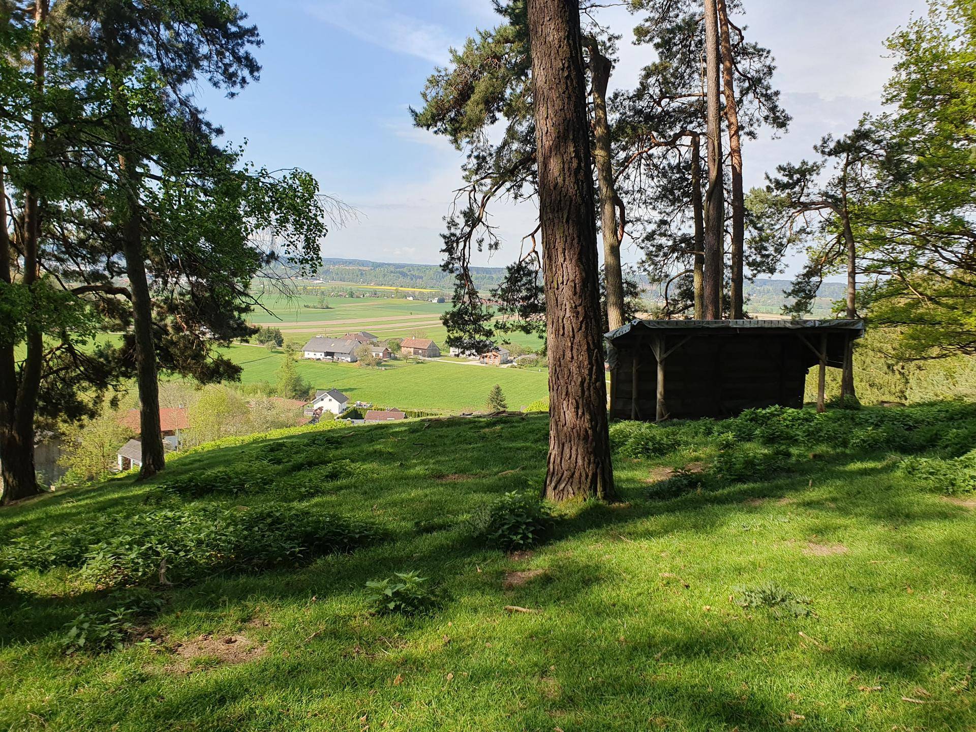 Aussicht Hirschgehege