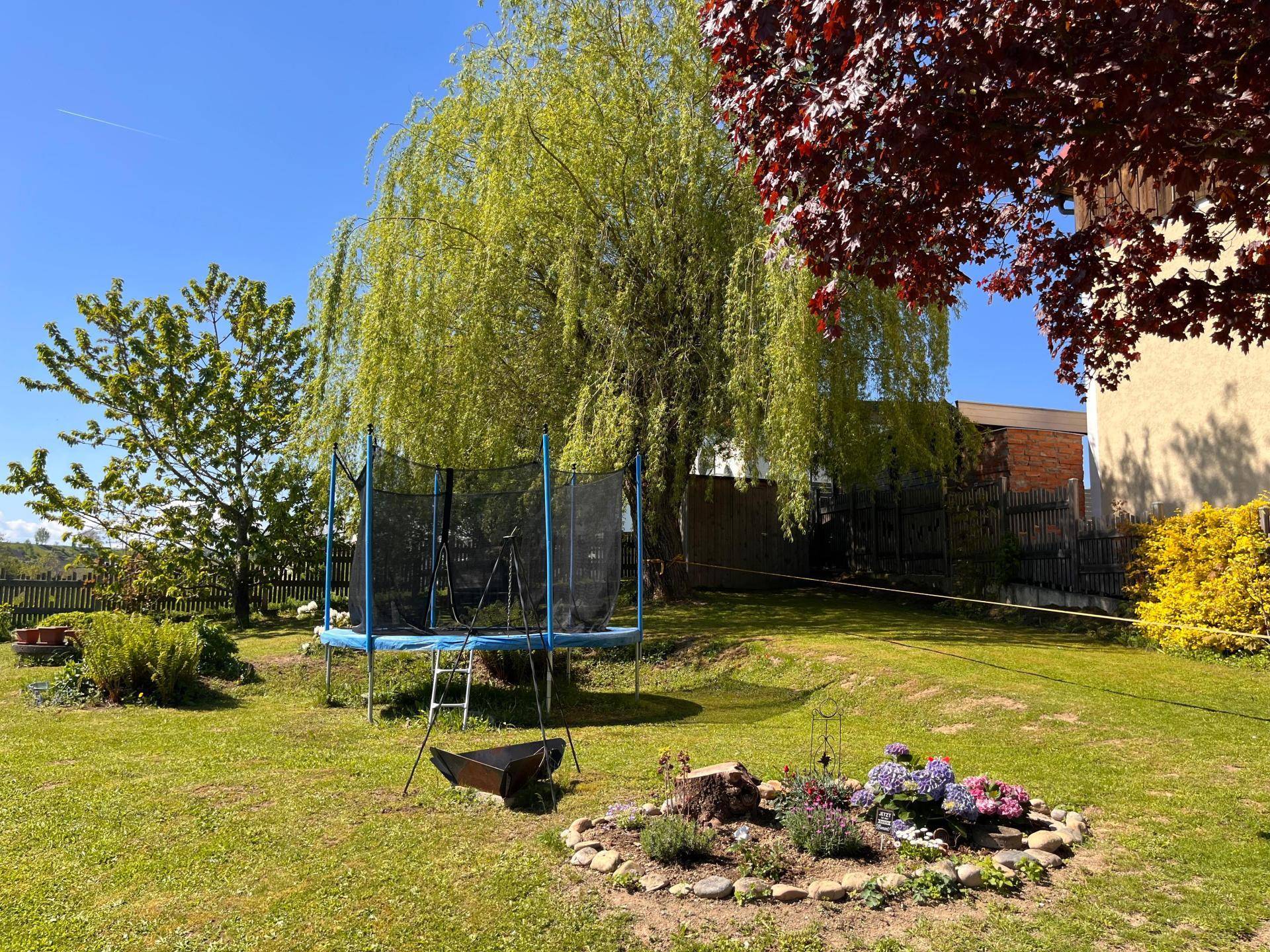 Sonnige Gartenanlage mit Trampolin, Blumenbeet und altem Weidenbaum im Frühling.