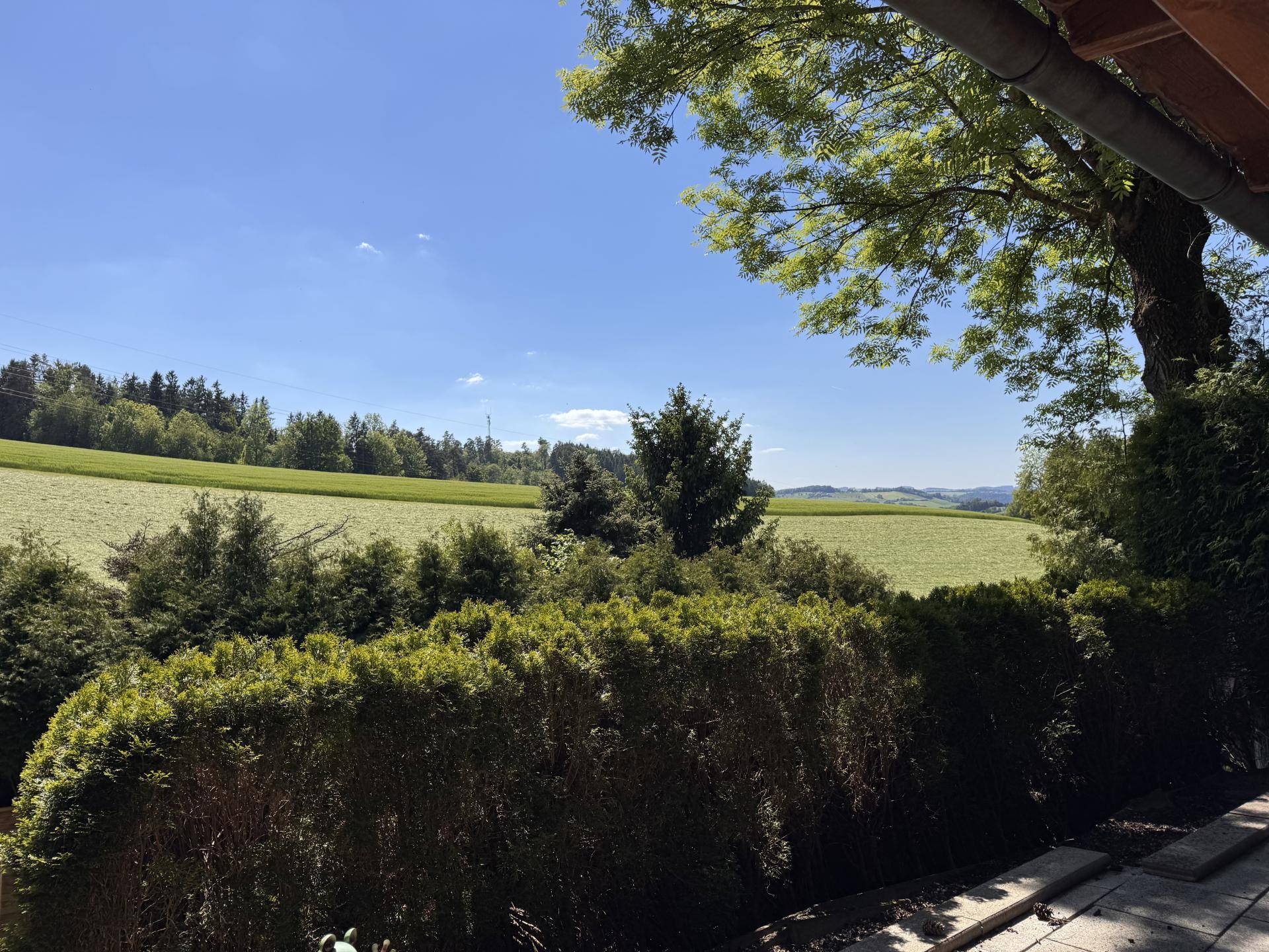 Aussicht