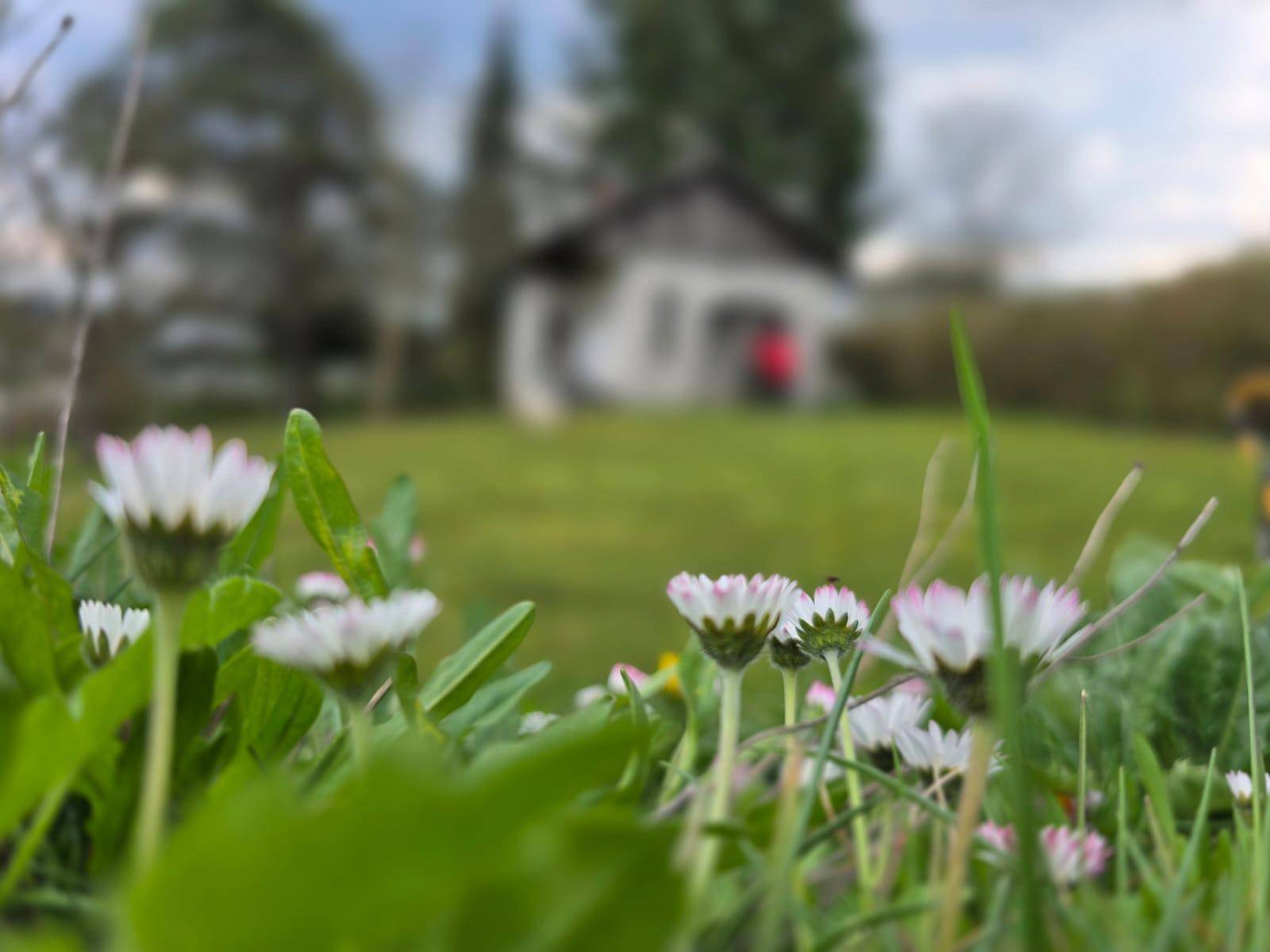 Garten Außenansicht