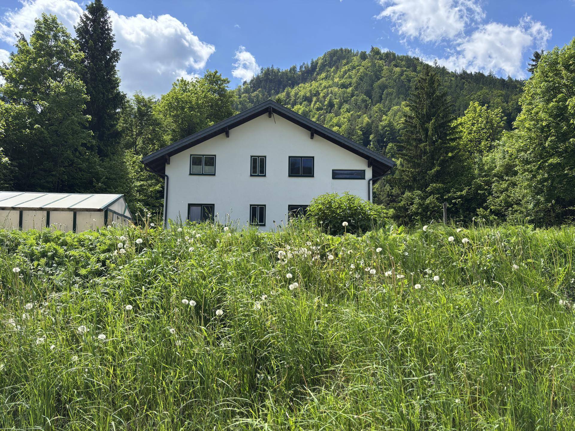 Ansicht