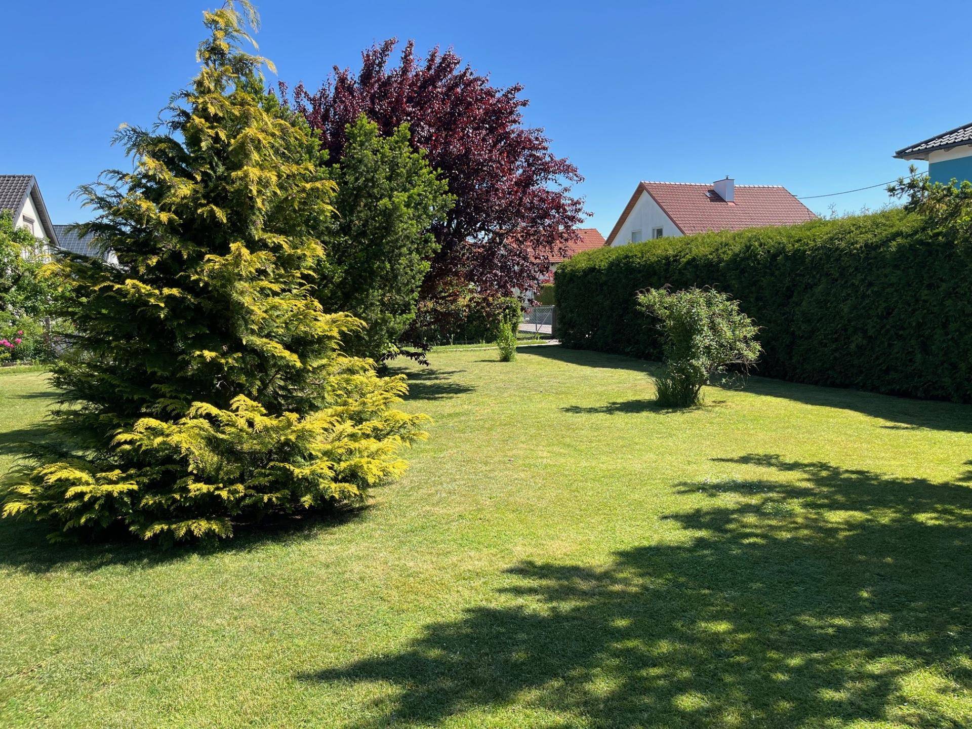 großzügiger Garten