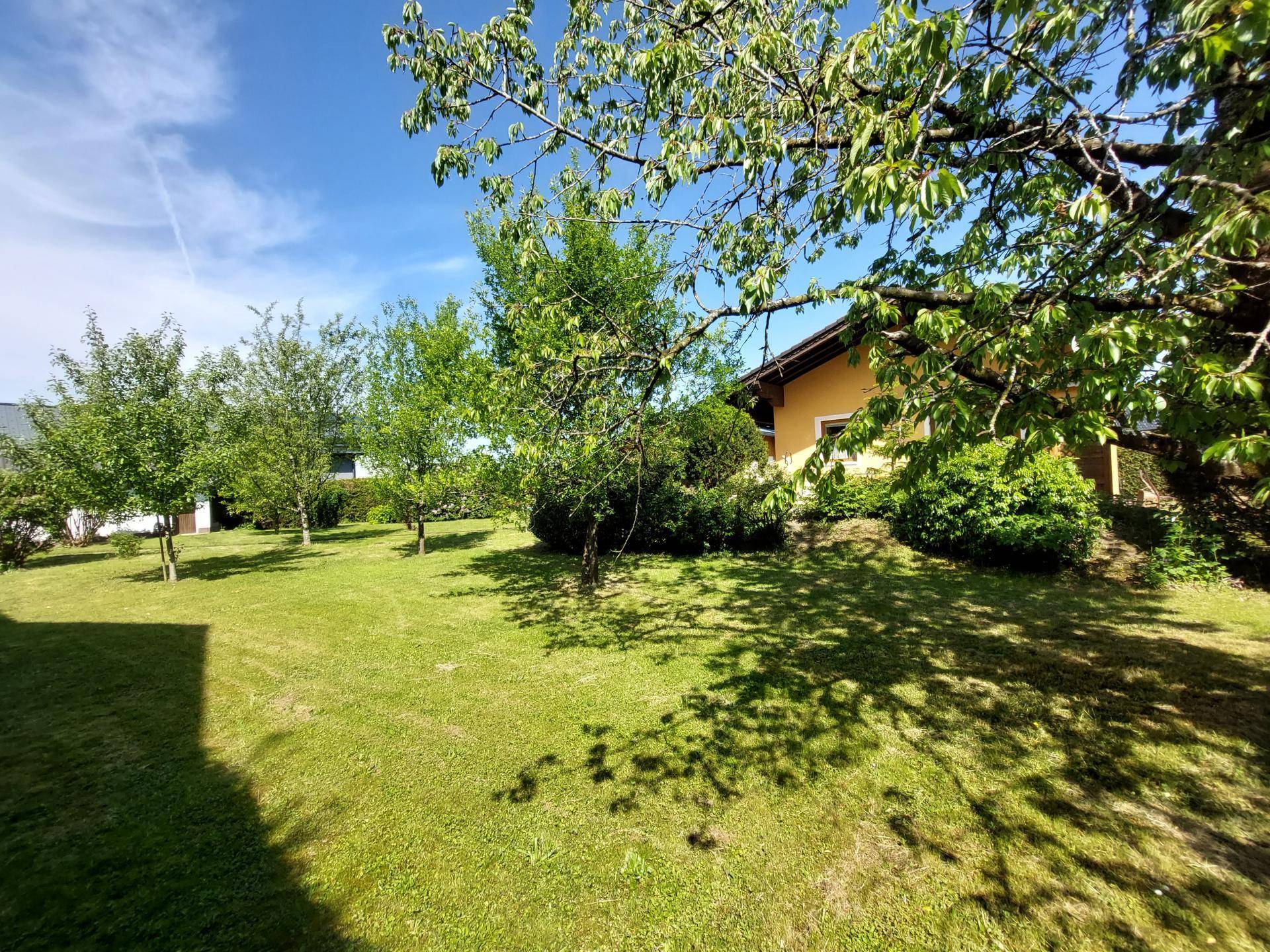 Blick in den Garten