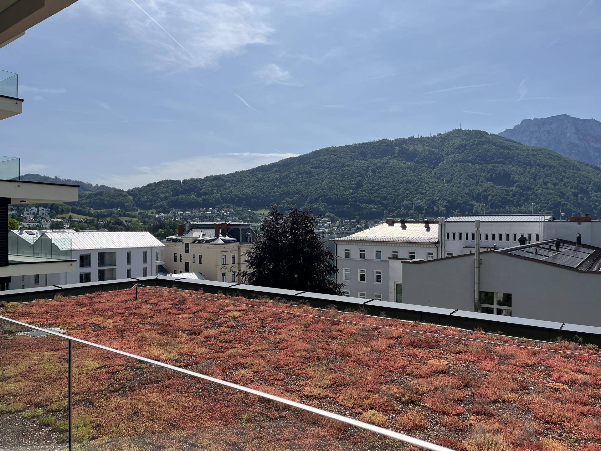 Seeblick Top 1_7