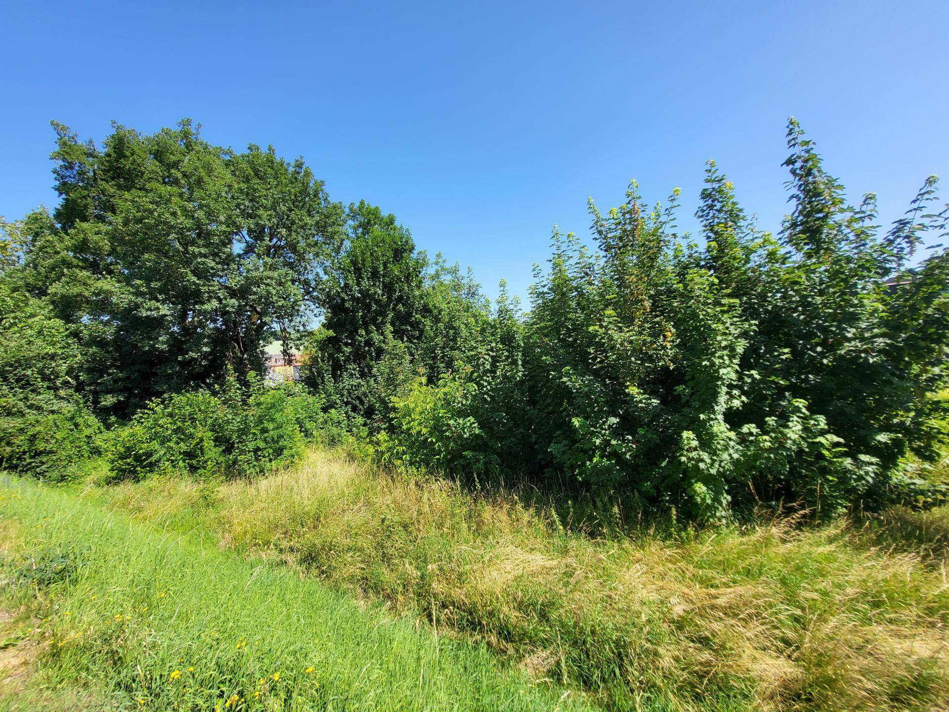 Grundstück