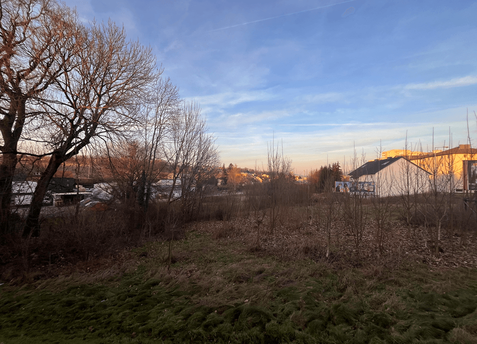 Winterlicher Blick auf ein unbebautes Grundstück mit kahlen Bäumen und Gebäuden in der Ferne bei Sonnenuntergang.