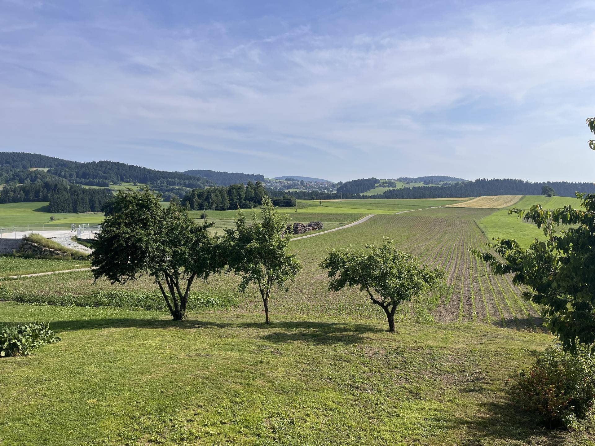 Weitläufiger Gartenbereich mit Obstbäumen und Blick auf die umliegende grüne Landschaft.