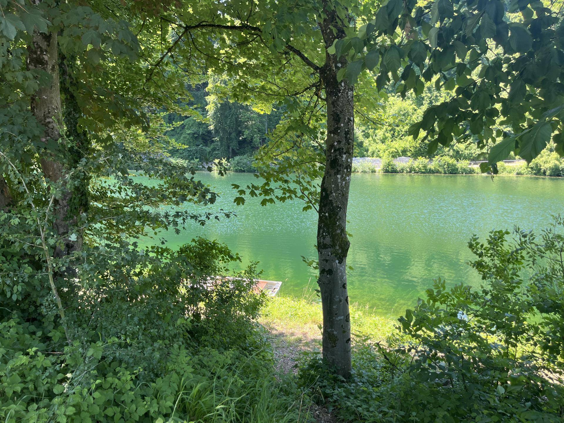 Traun in unmittelbarer Nähe