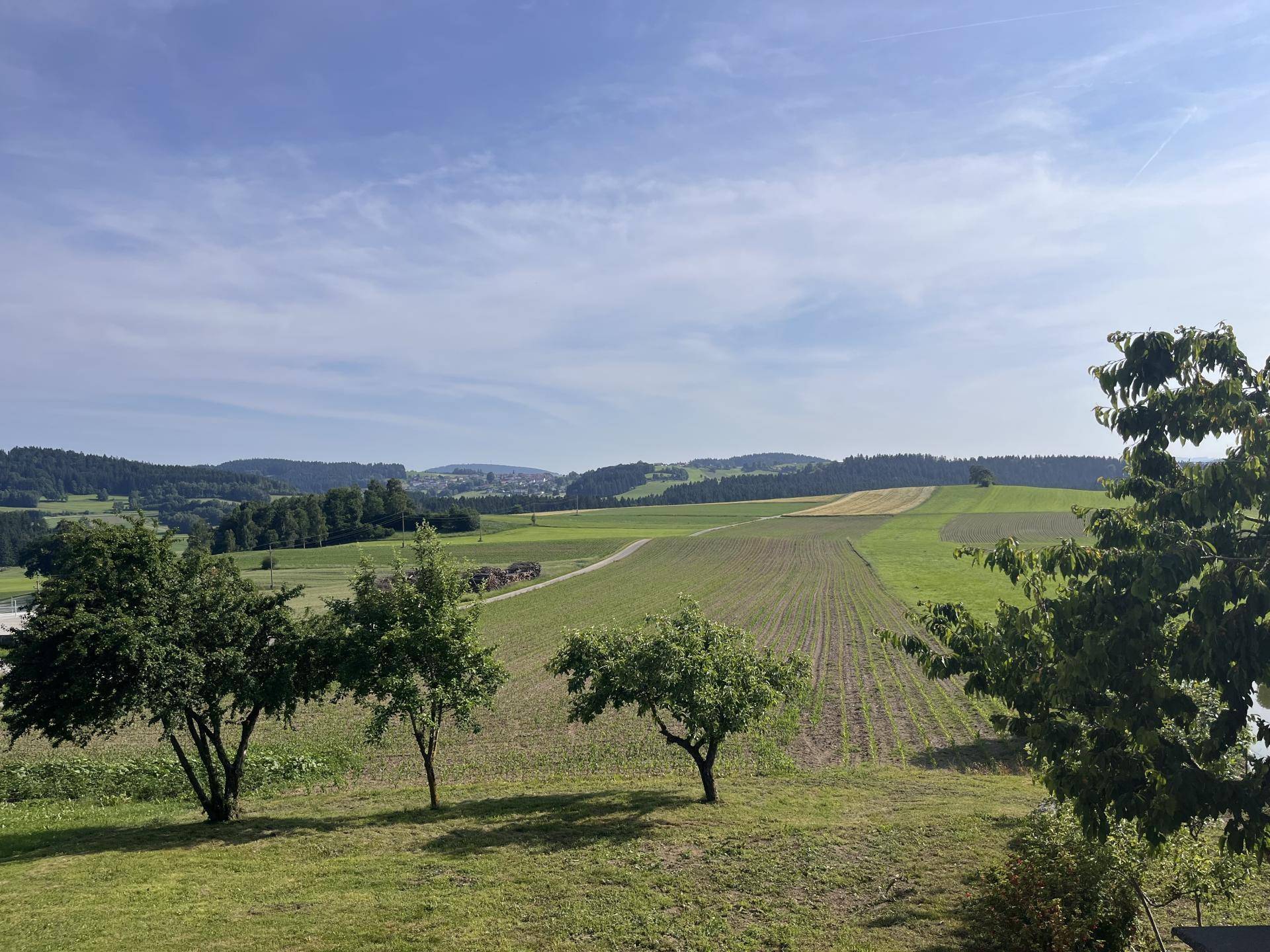 Weitläufige grüne Landschaft mit Feldern und Bäumen unter blauem Himmel.