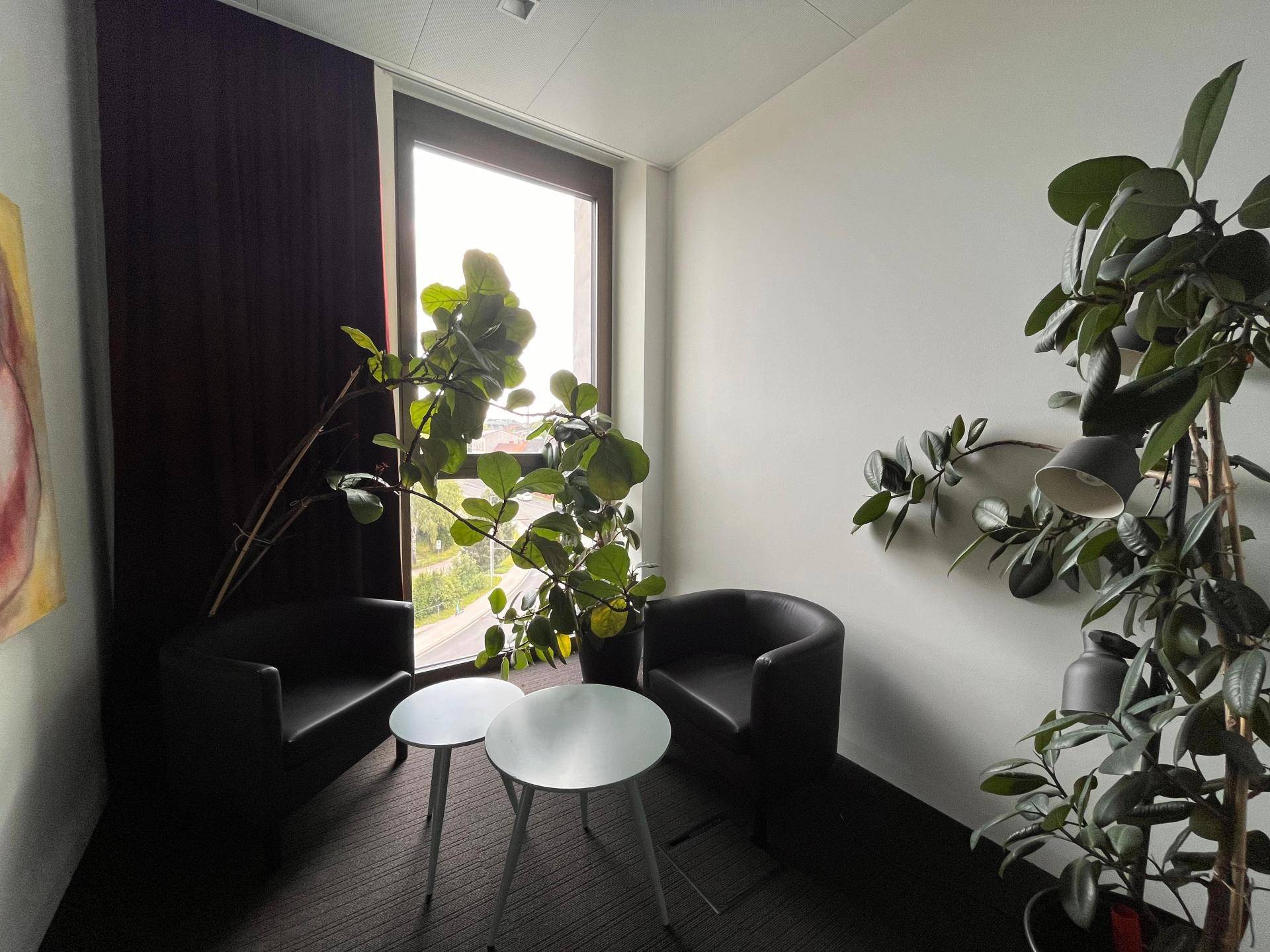 Büro Pflanzen