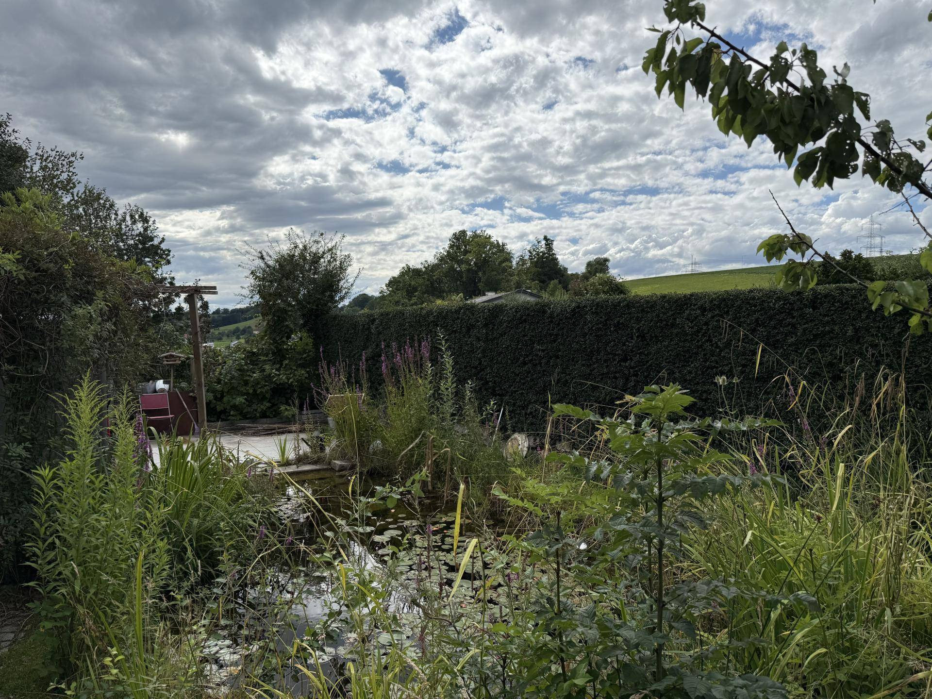 Garten