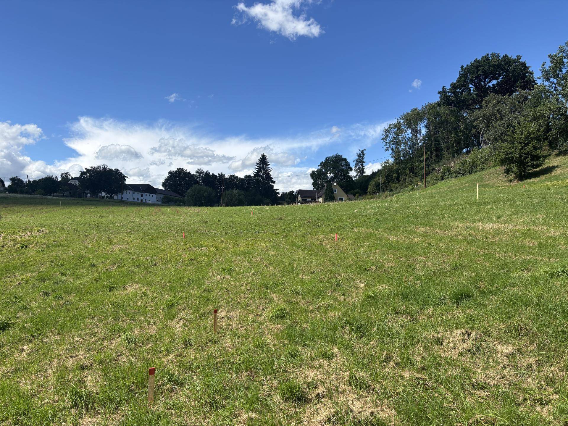 Bauland Freistadt