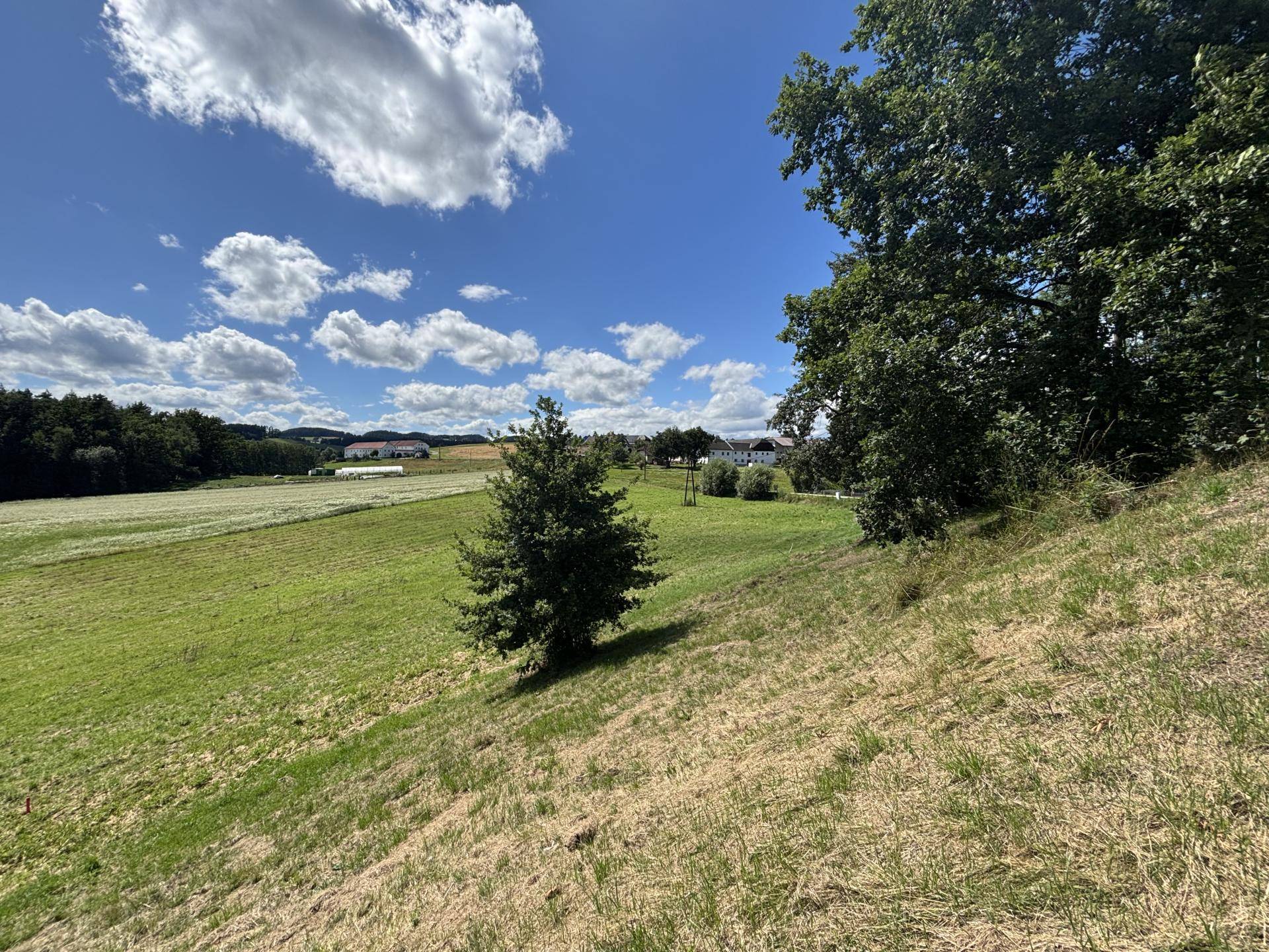 Bauland Freistadt