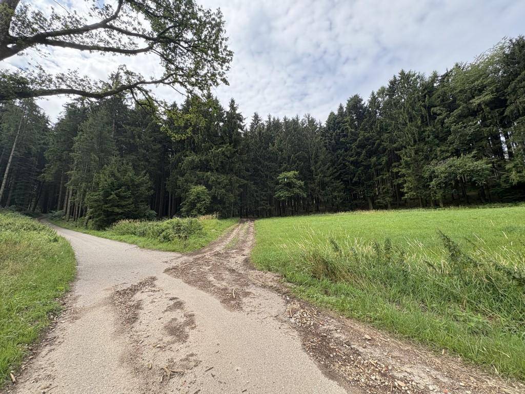 Zufahrt Wald Gst.Nr. 412, 459