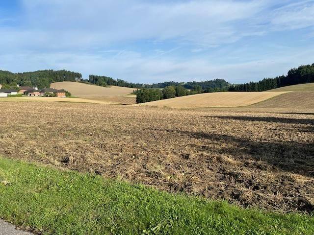 Fernblick