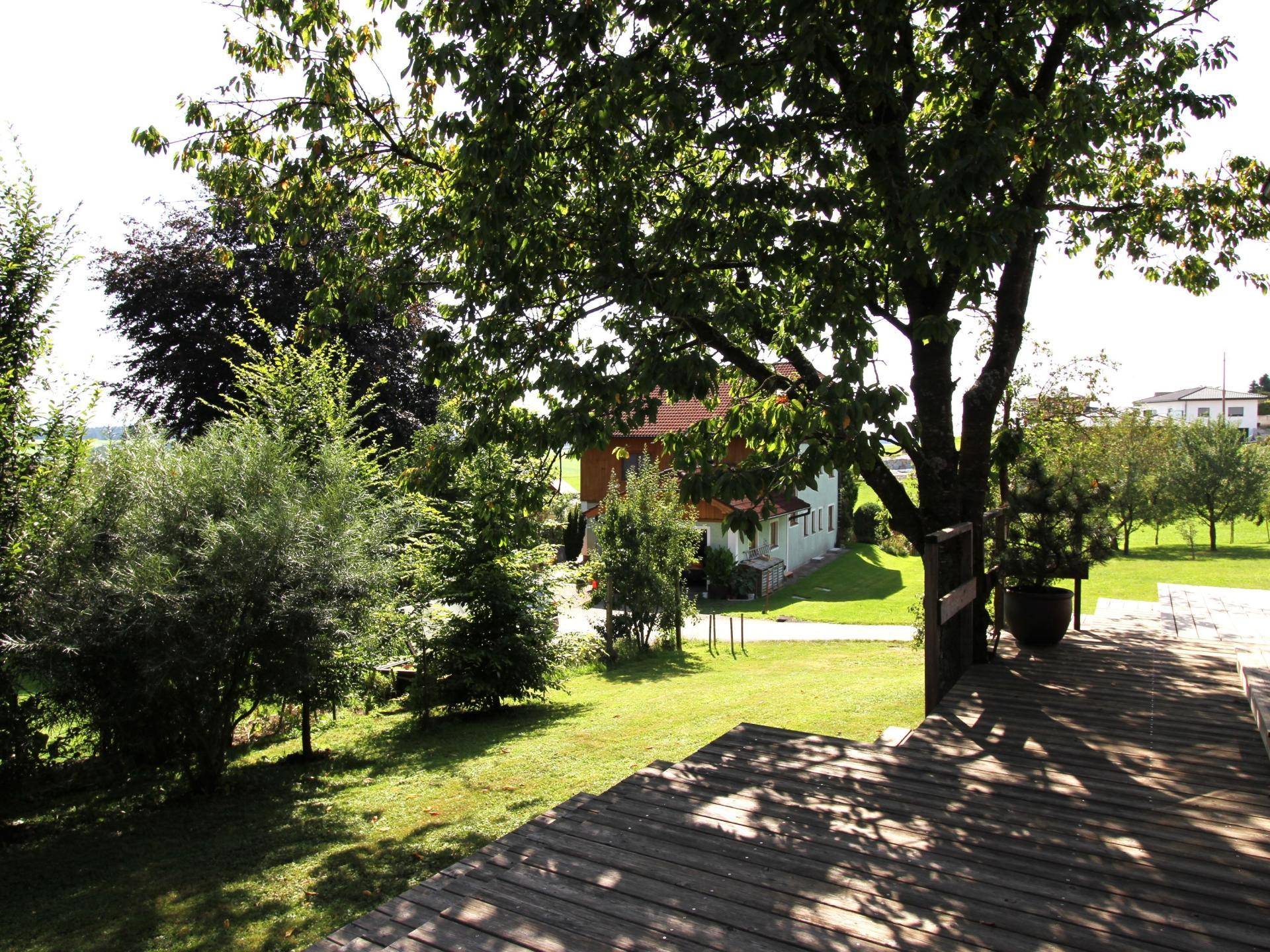 Garten von Südterrasse