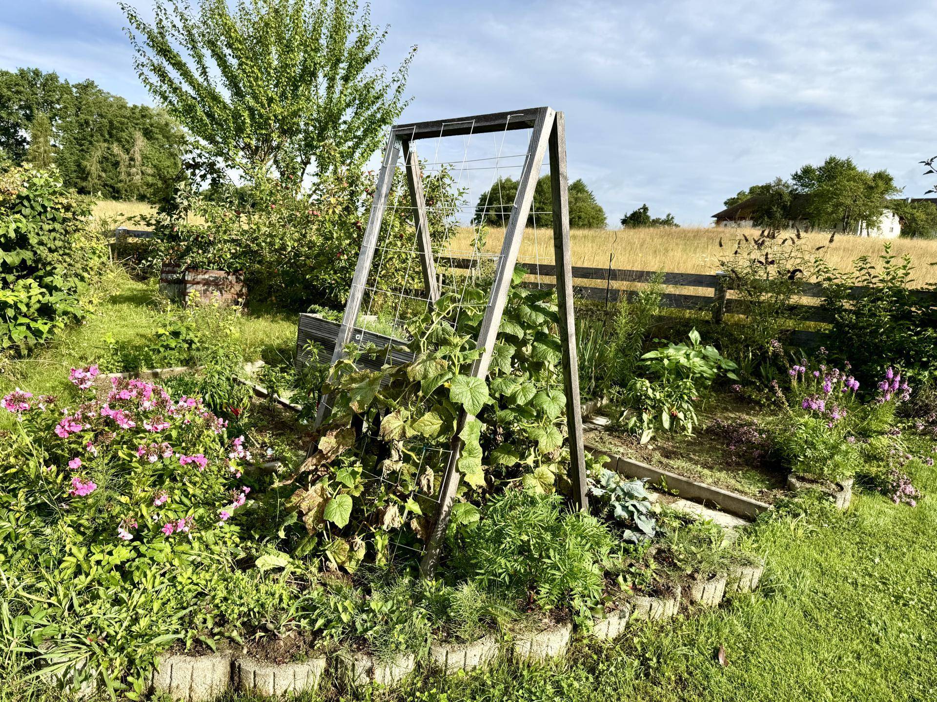 Gemüsegarten