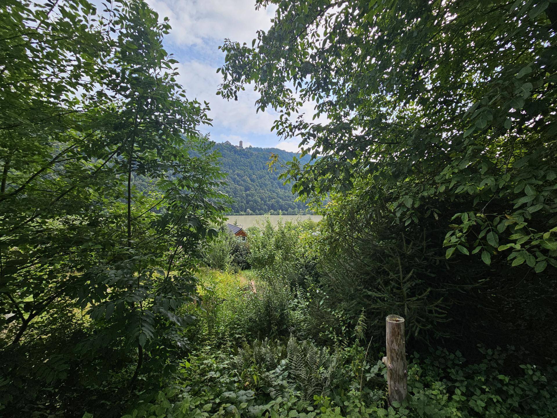 Ausblick Donau