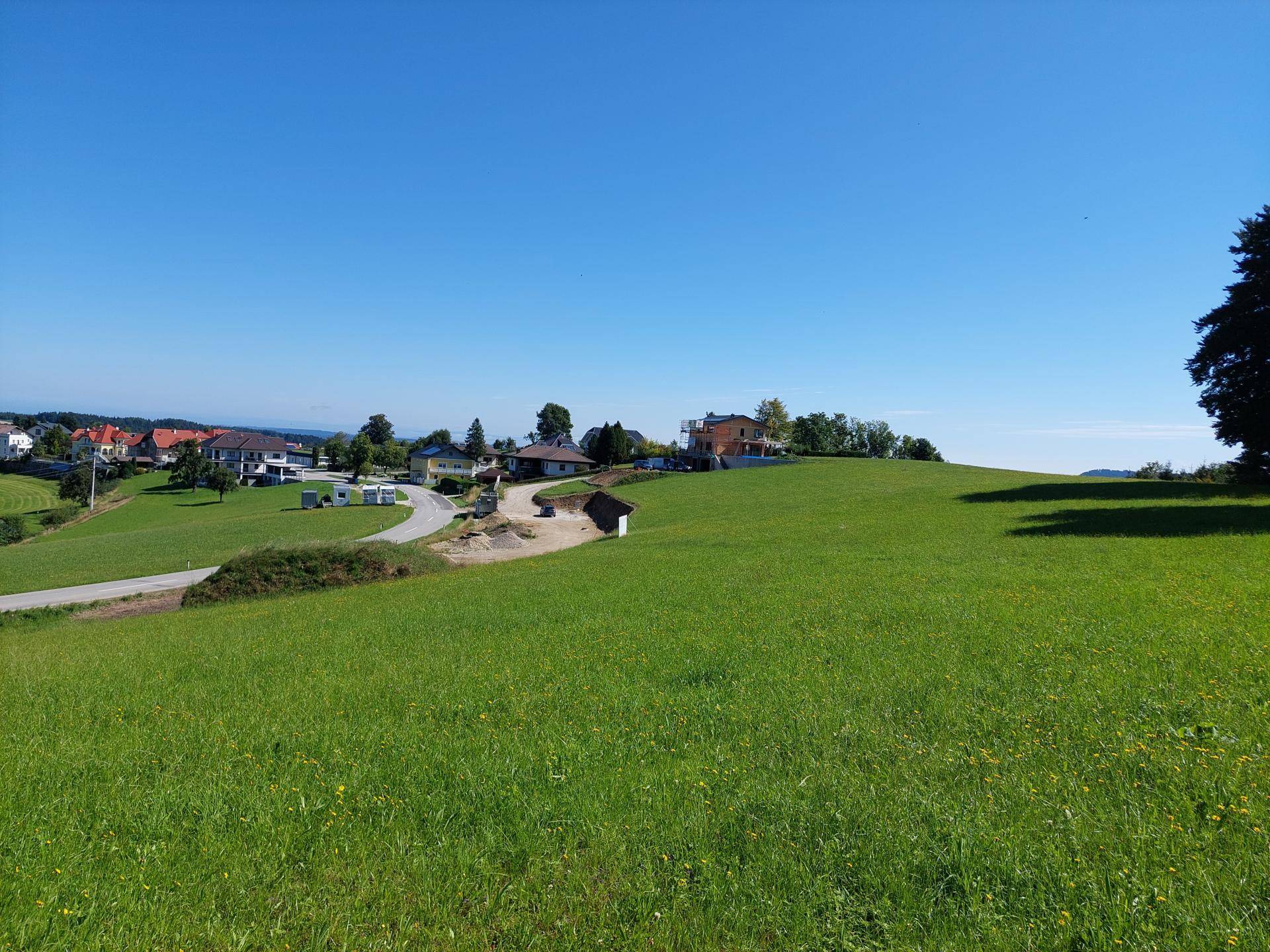 Hügelige grüne Landschaft mit einer kurvigen Straße und Wohnhäusern in der Ferne unter klarem Himmel.