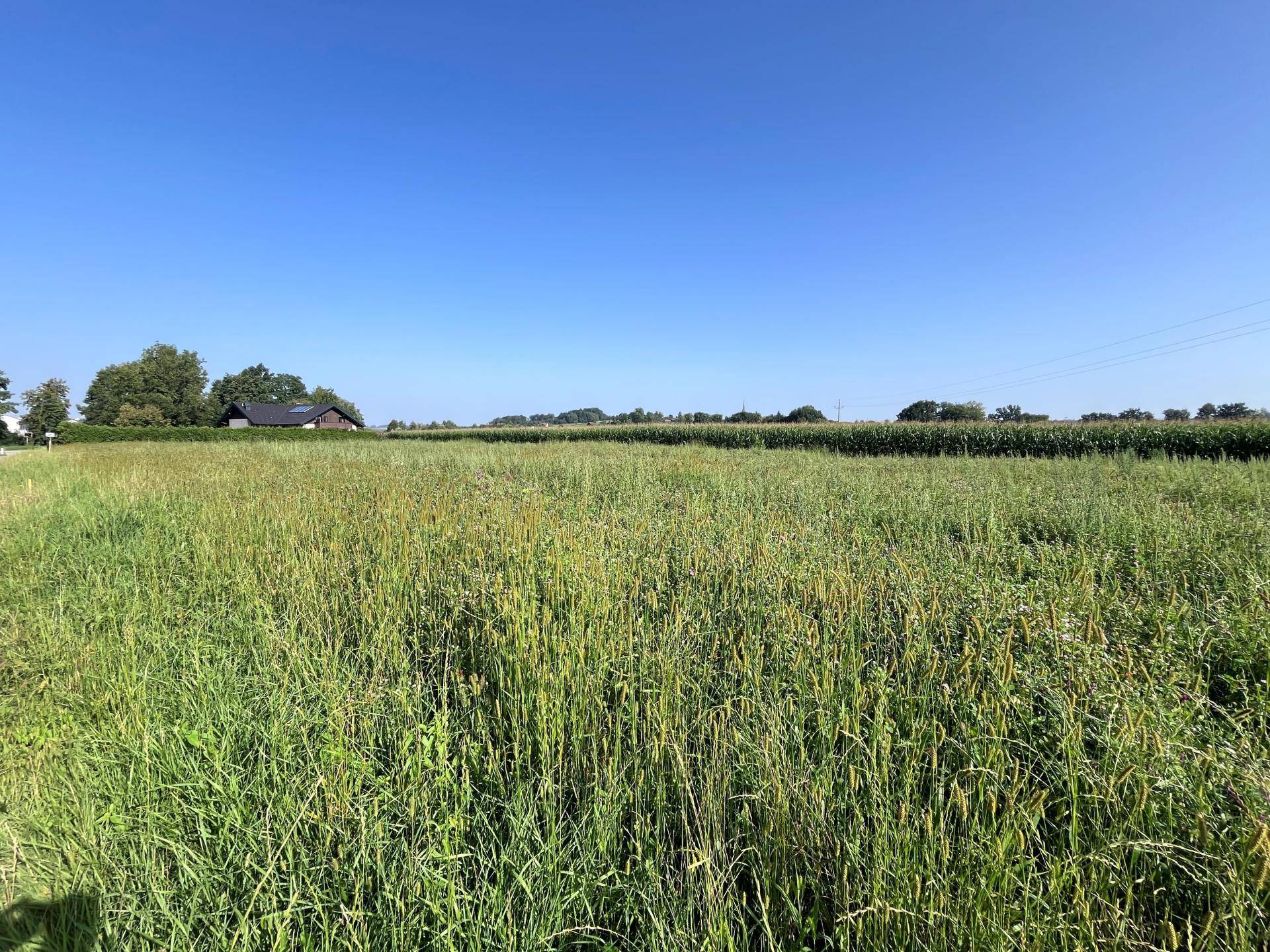 Aussicht