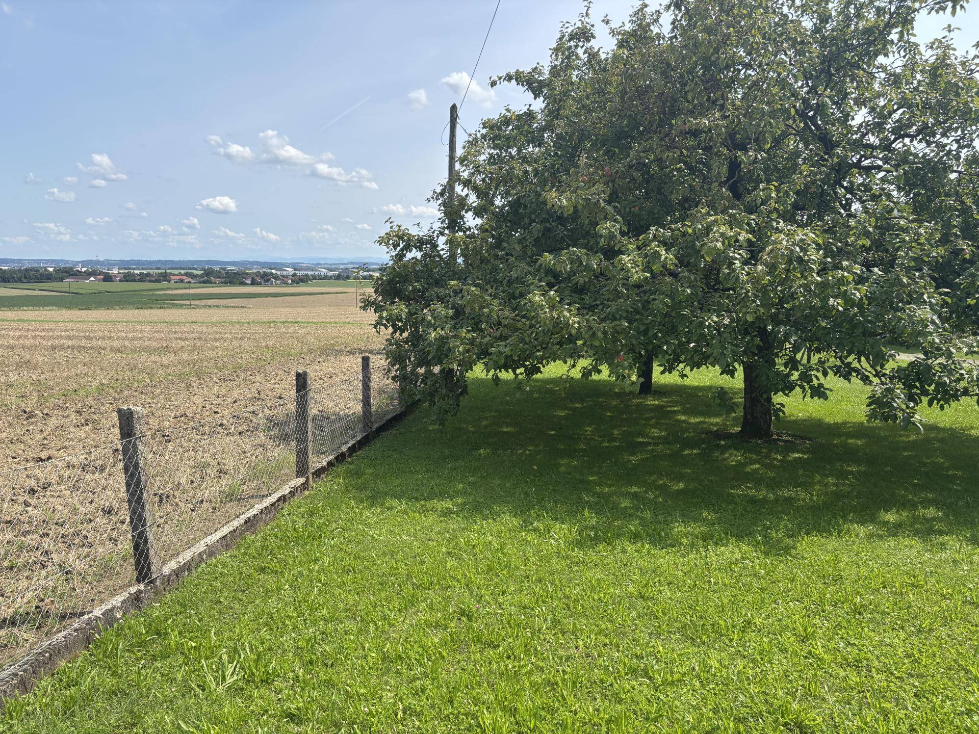 Baugrund