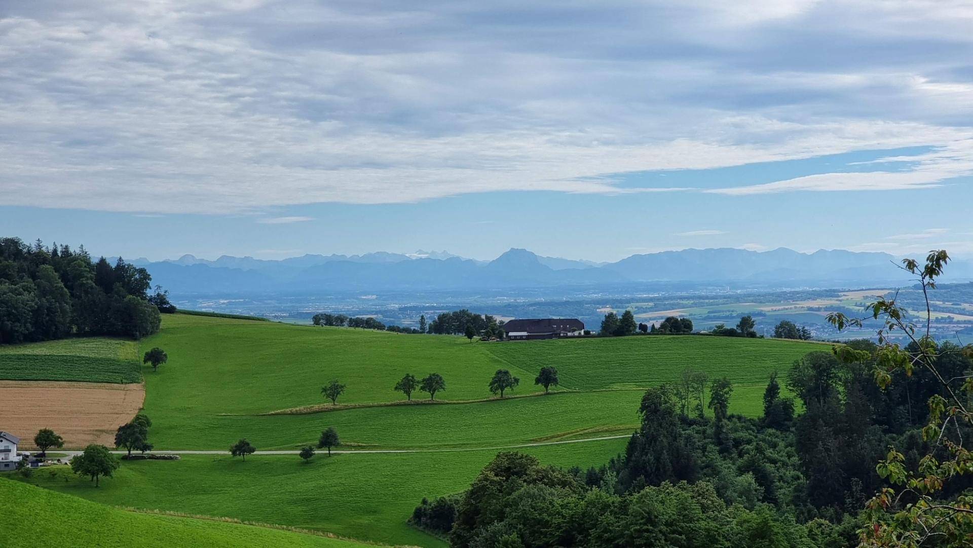 Ausblick