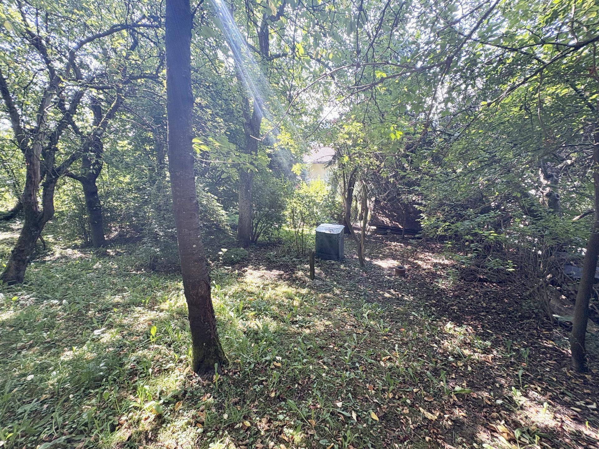 Waldgarten
