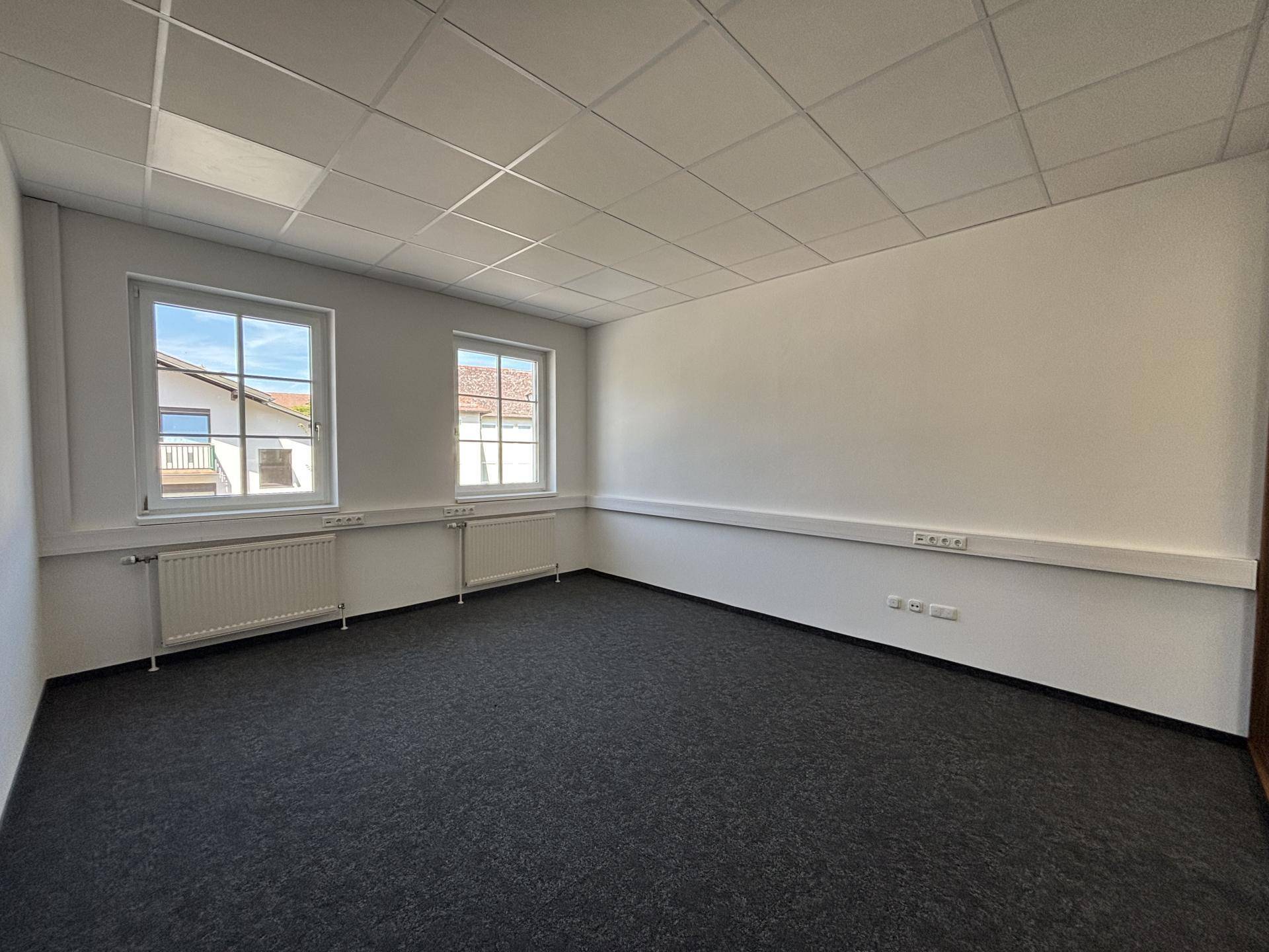 Helles Büro mit zwei Fenstern, Teppichboden und weißen Wänden, ideal für Arbeitszwecke.