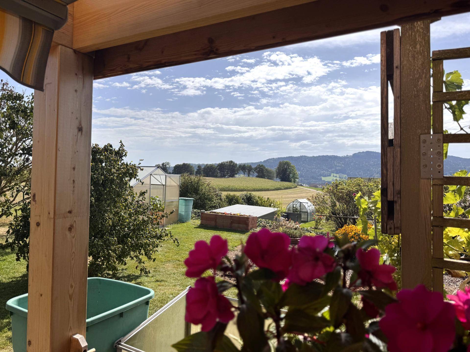 Ausblick Garten