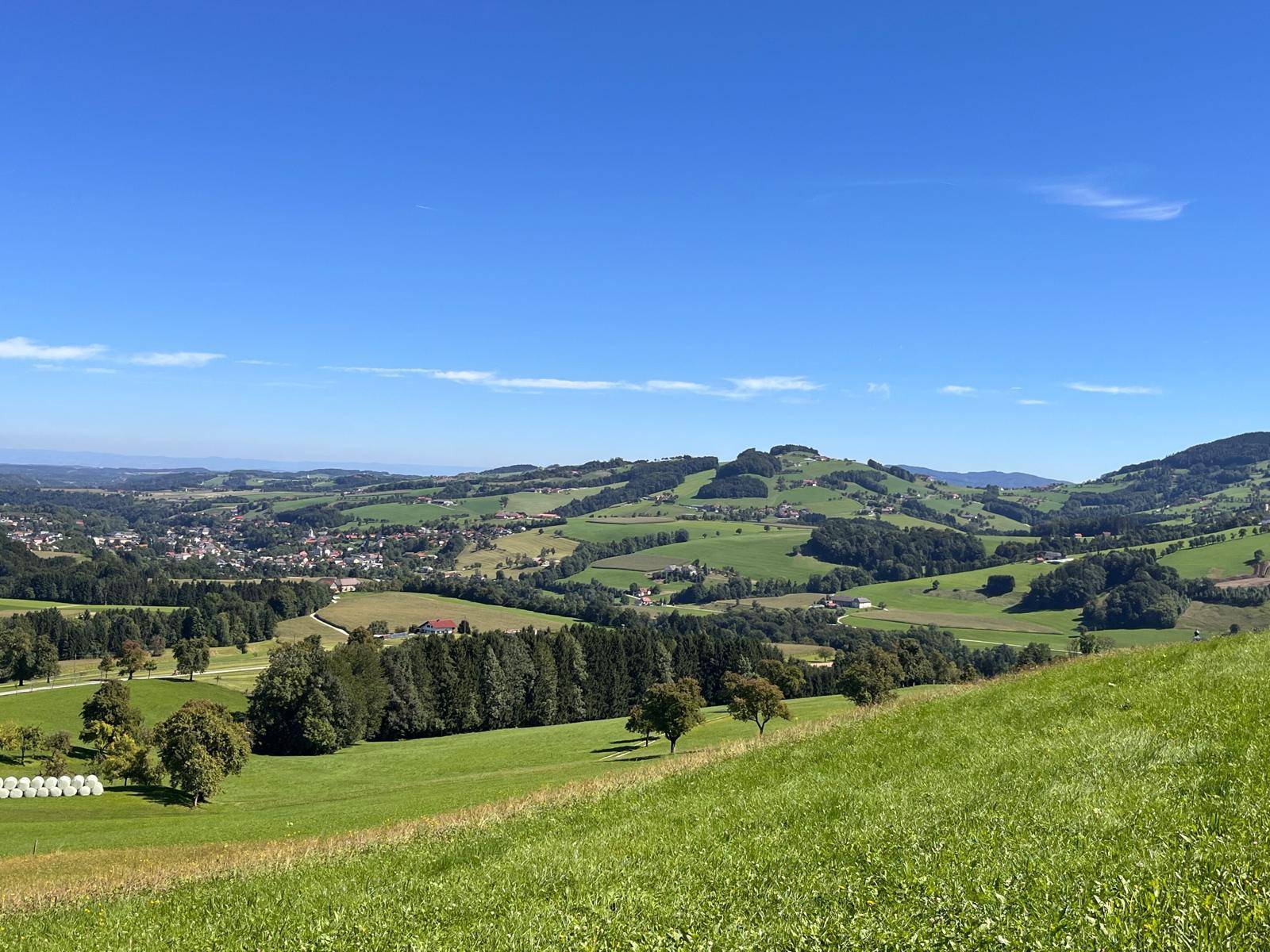 Weitläufiger Panoramablick über eine grüne, hügelige Landschaft mit vereinzelten Bäumen und einem Dorf in der Ferne.