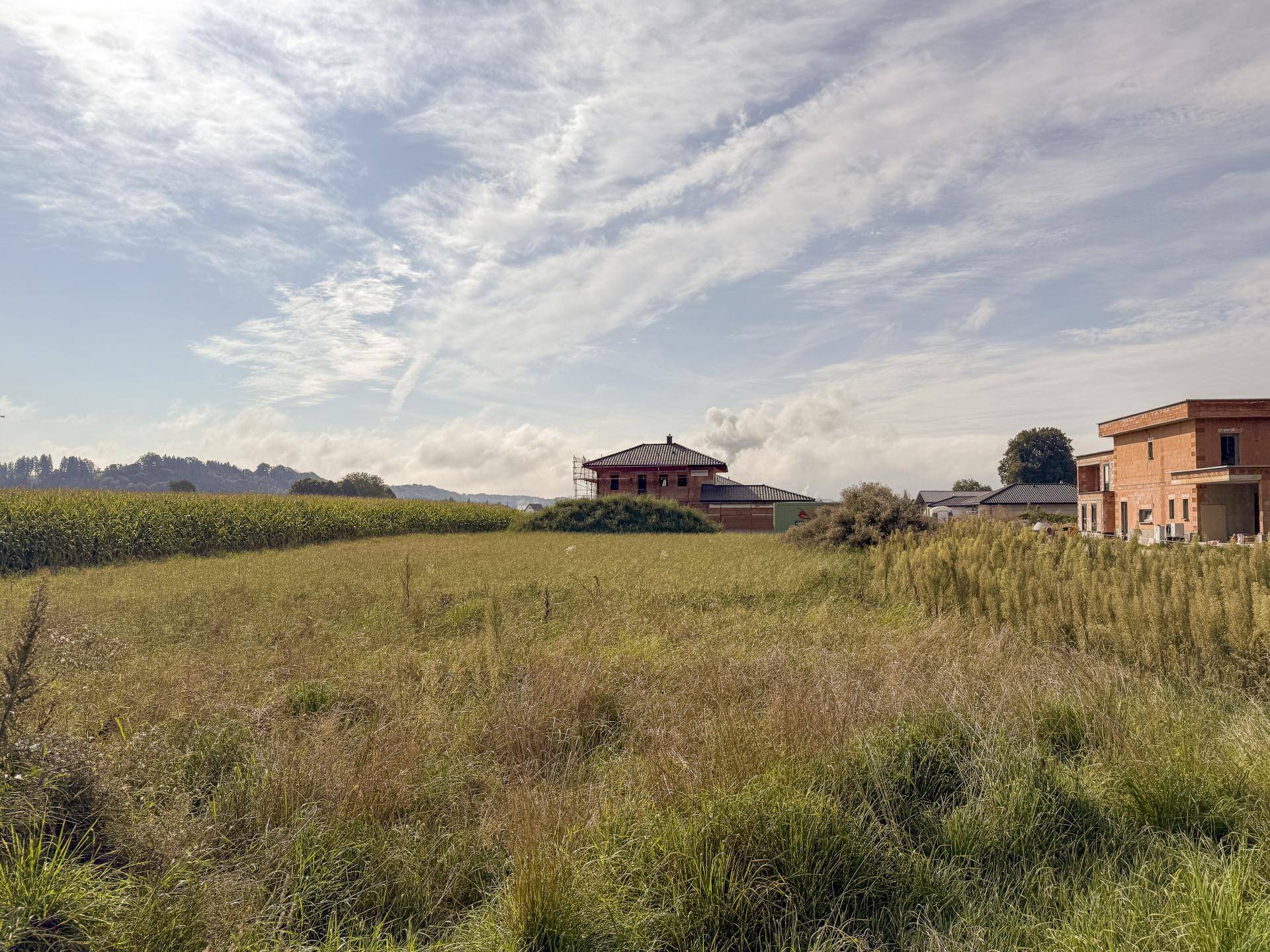 Offenes Feld mit Blick auf Neubauten und Maisfelder in der Ferne.