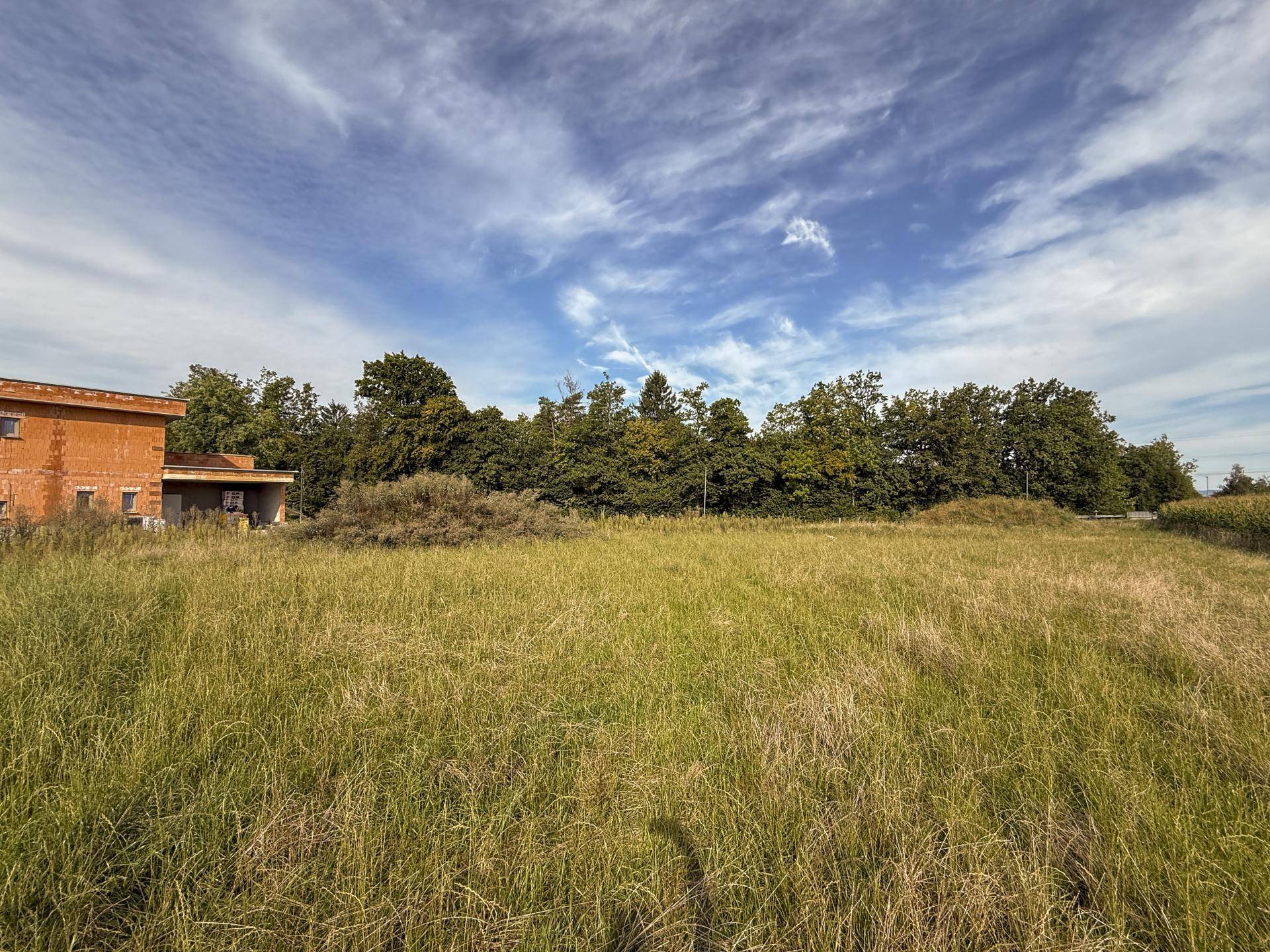 Großes, unbewirtschaftetes Feld mit angrenzendem Gebäude und Waldrand im Hintergrund.