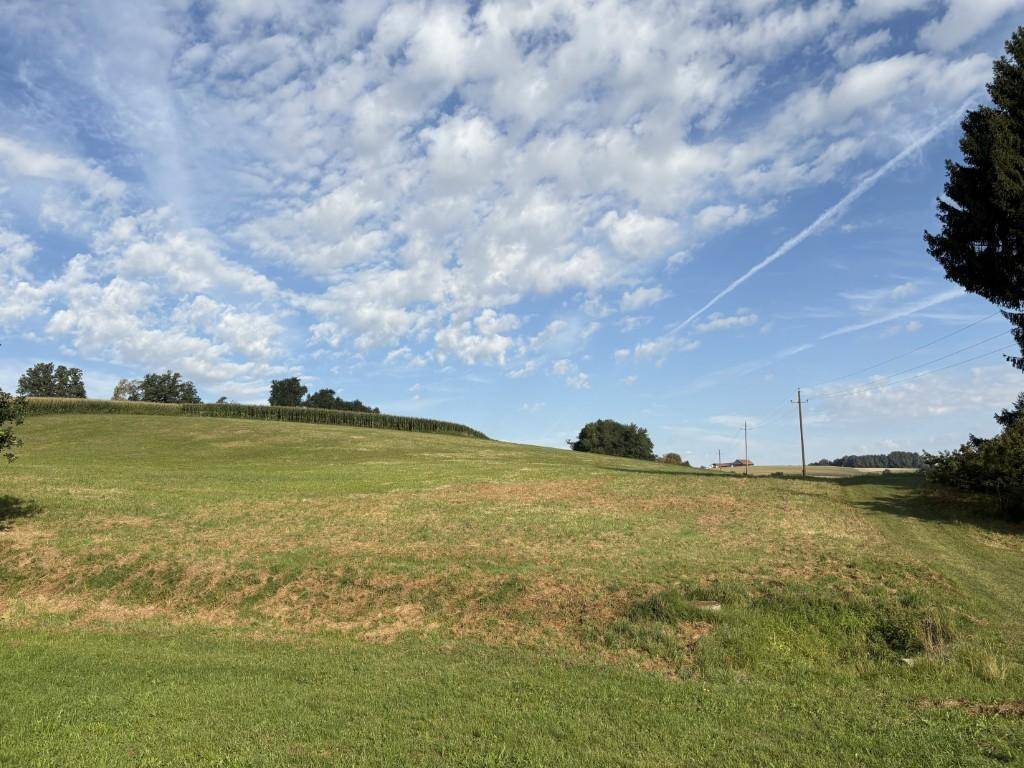 Wiese KG Murau