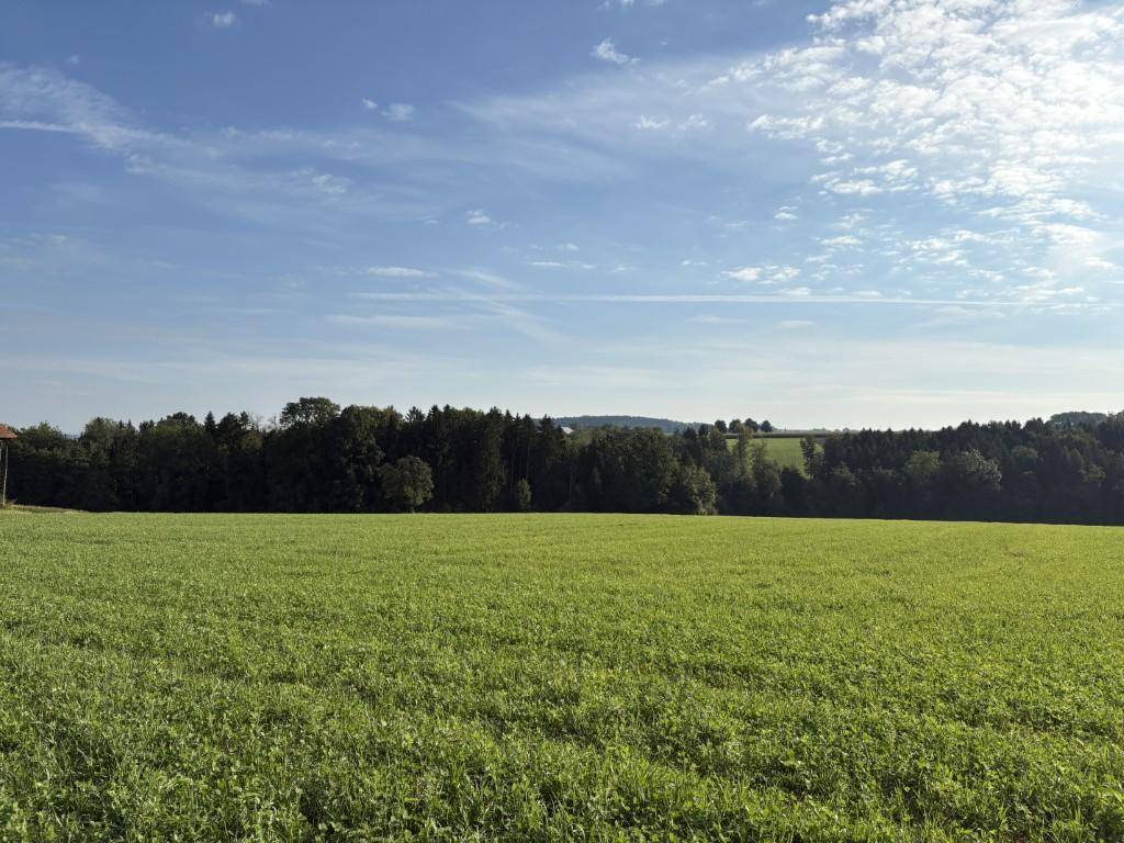 Acker und Wald