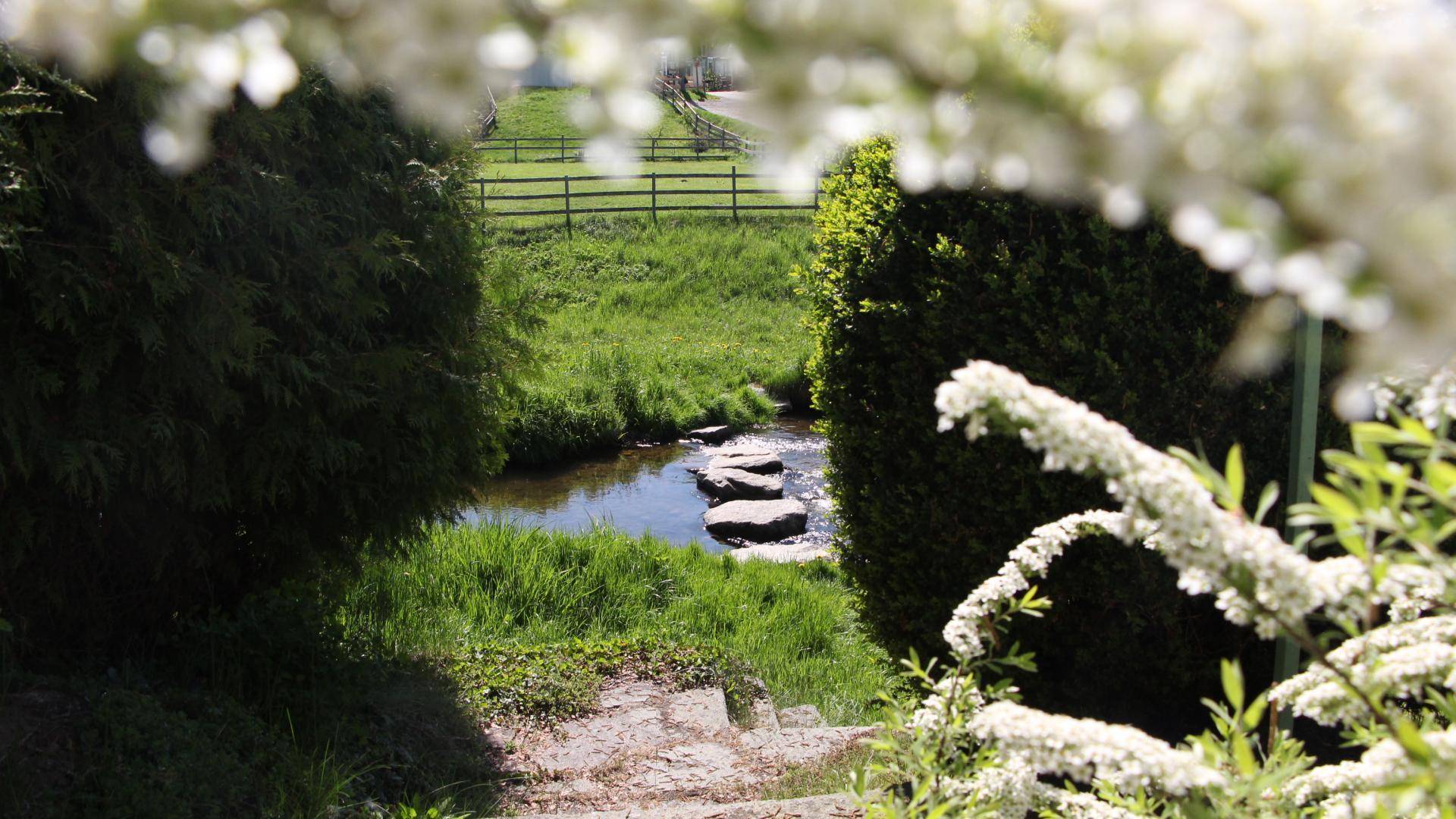 Ausblick2