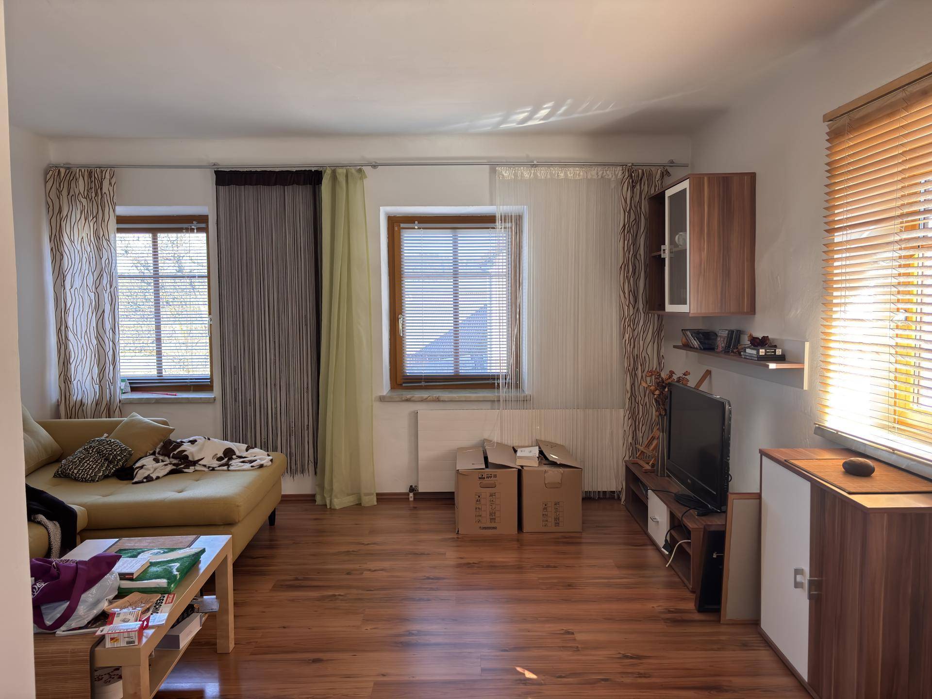 Wohnzimmer mit Holzboden, Sofa und einem Fernseher, beleuchtet durch zwei Fenster.