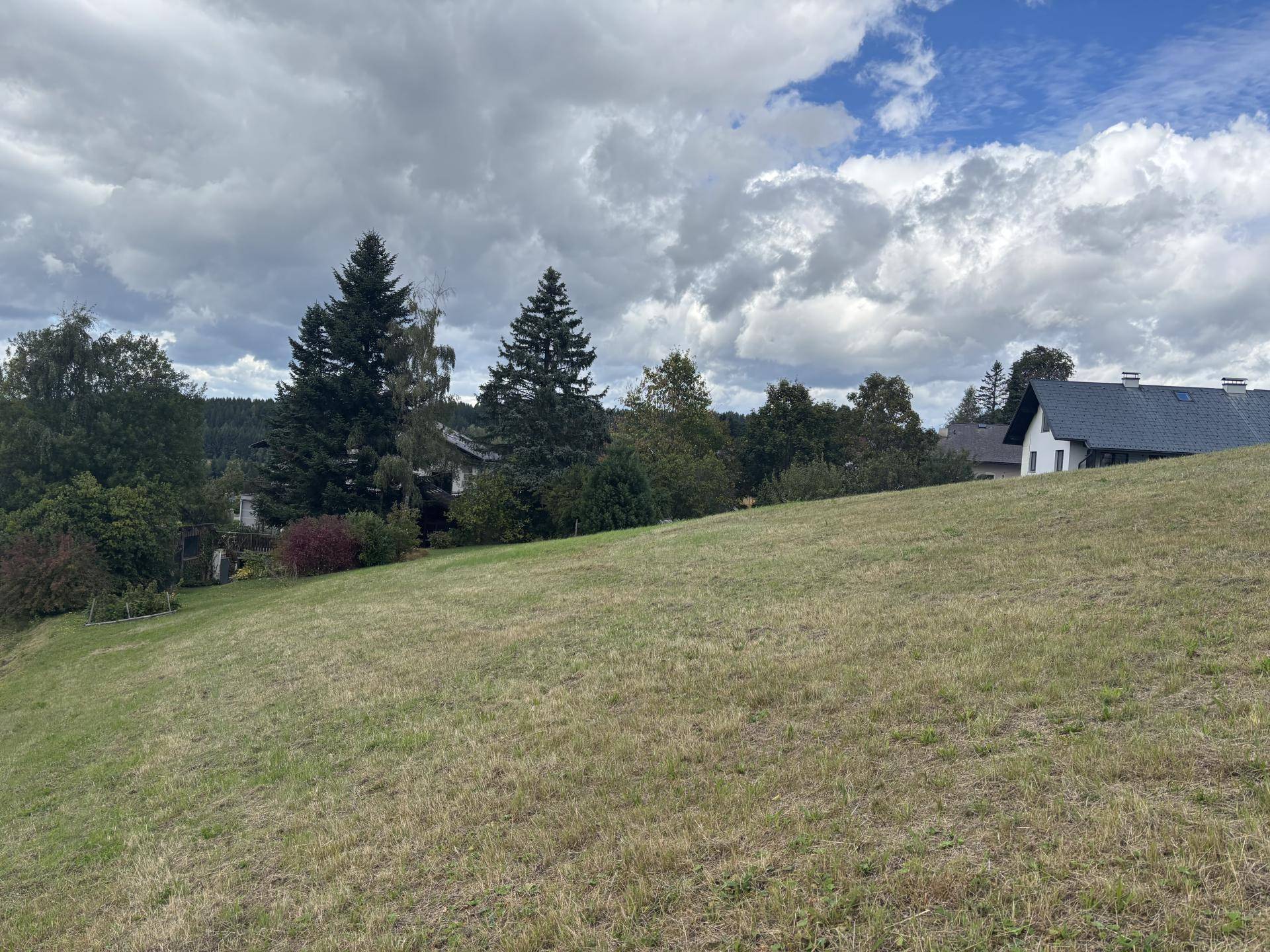 Grüne Hügellandschaft mit vereinzelten Häusern in der Ferne unter einem bewölkten Himmel.
