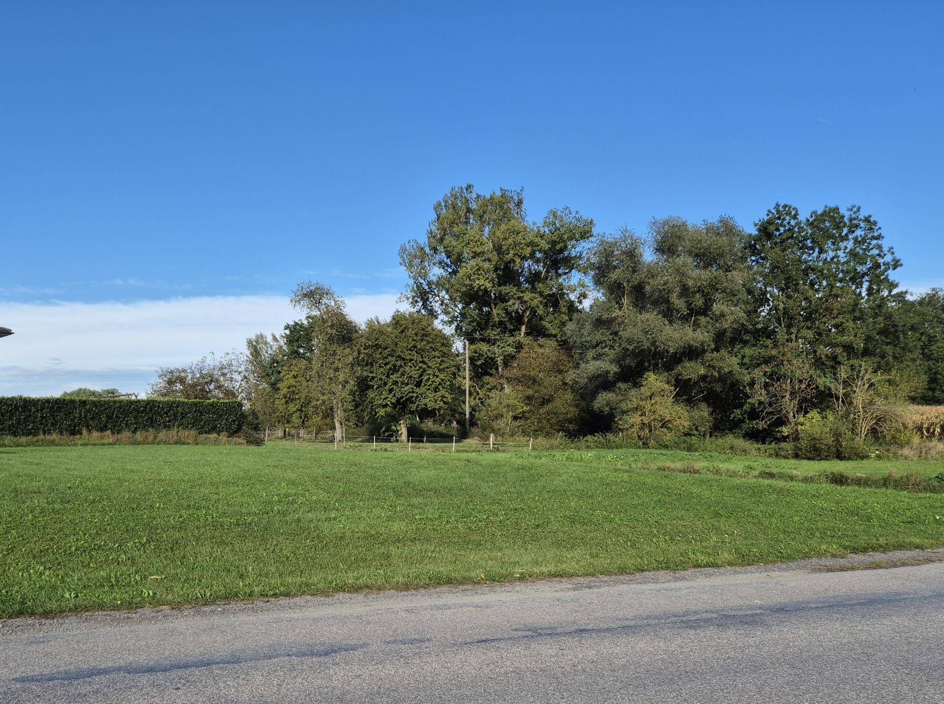 20250926_BG Aumühle (7)