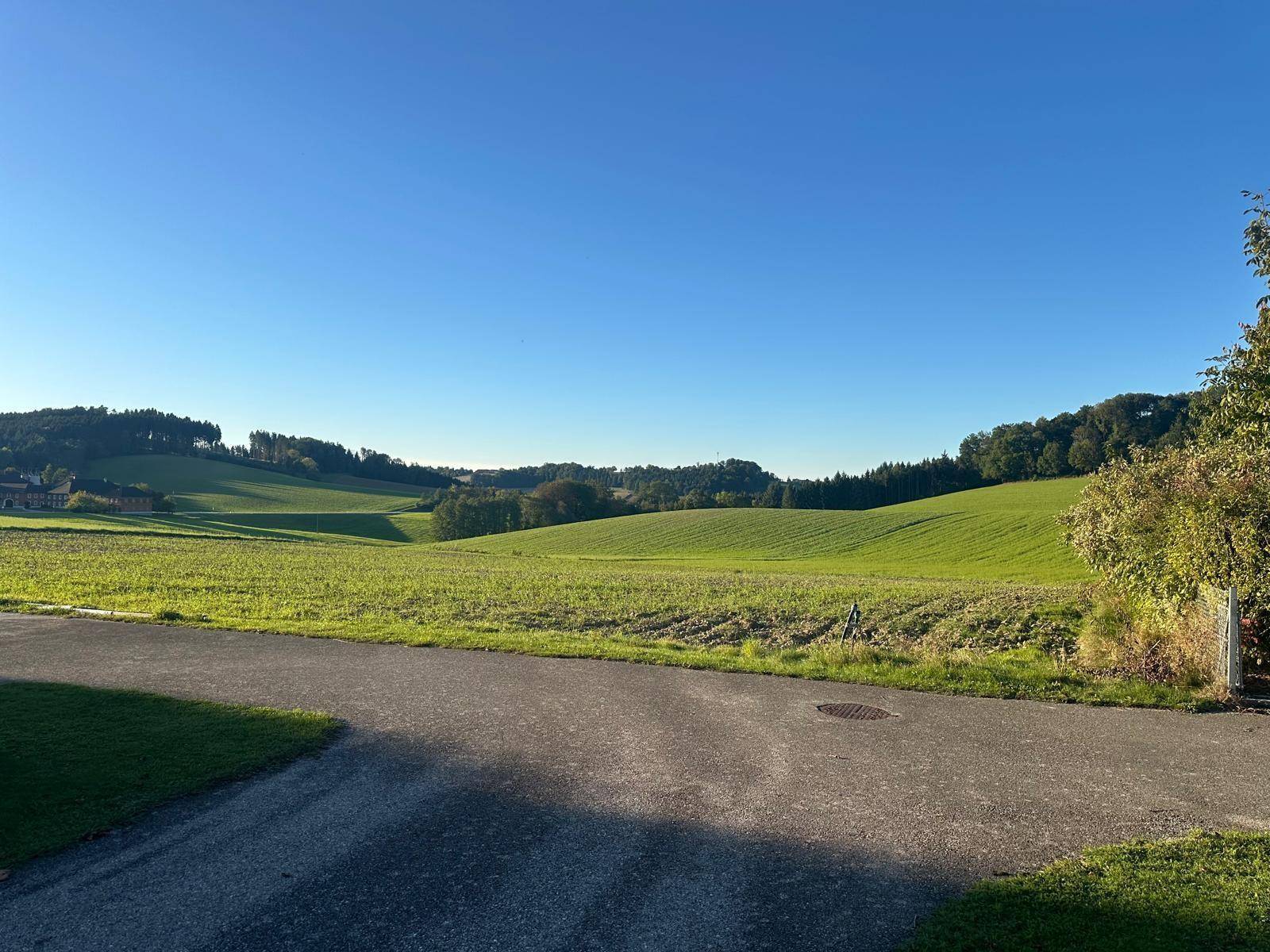 Baugrund in Naturlage mit Fernblick - Ansicht 3
