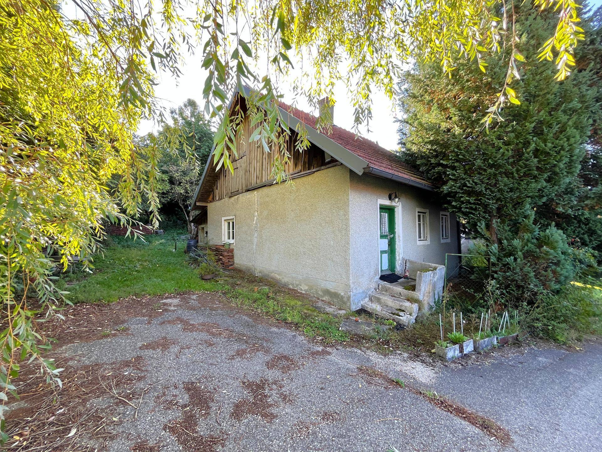 Altes Haus mit grüner Eingangstür und schattigem Vorplatz umgeben von Bäumen.