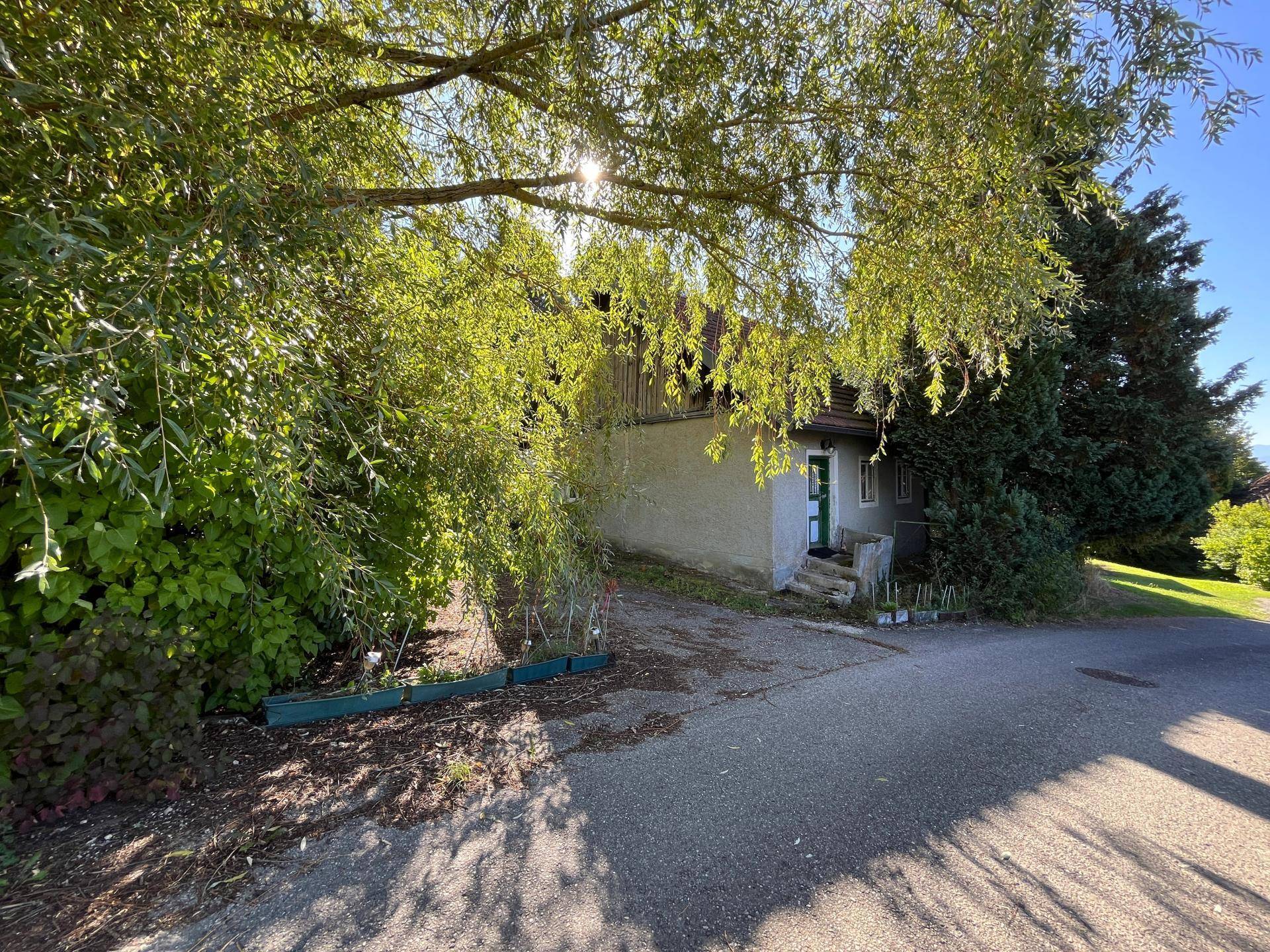 Eingangsbereich des Hauses mit Zufahrt, umgeben von Bäumen und Sträuchern im Sonnenlicht.