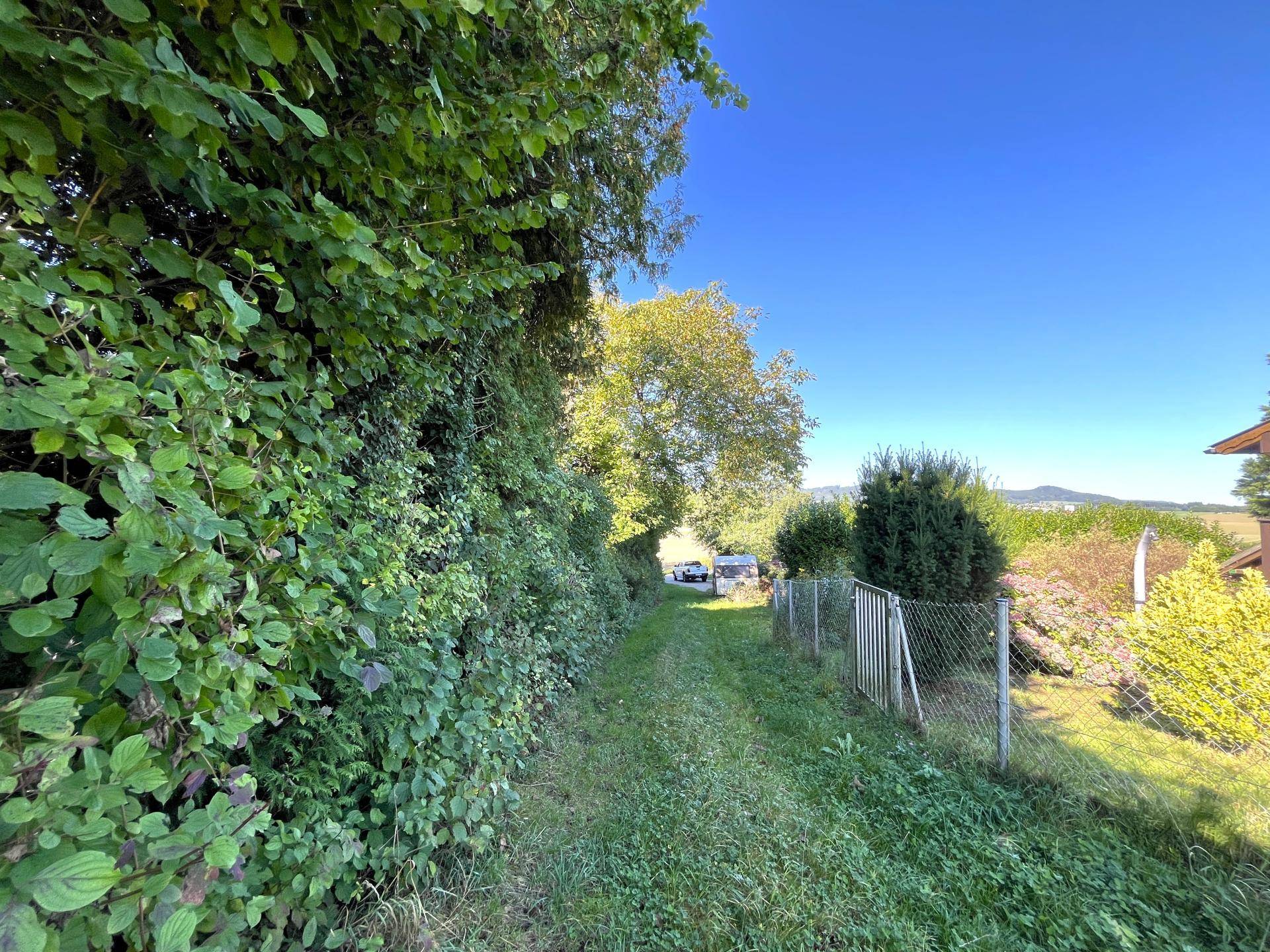Grüner Feldweg mit Zaun, der zu einem entfernten Gebäude führt, umgeben von Natur.