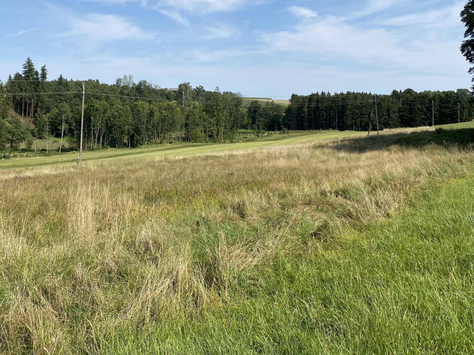 Landwirtschaftlicher Nutzgrund