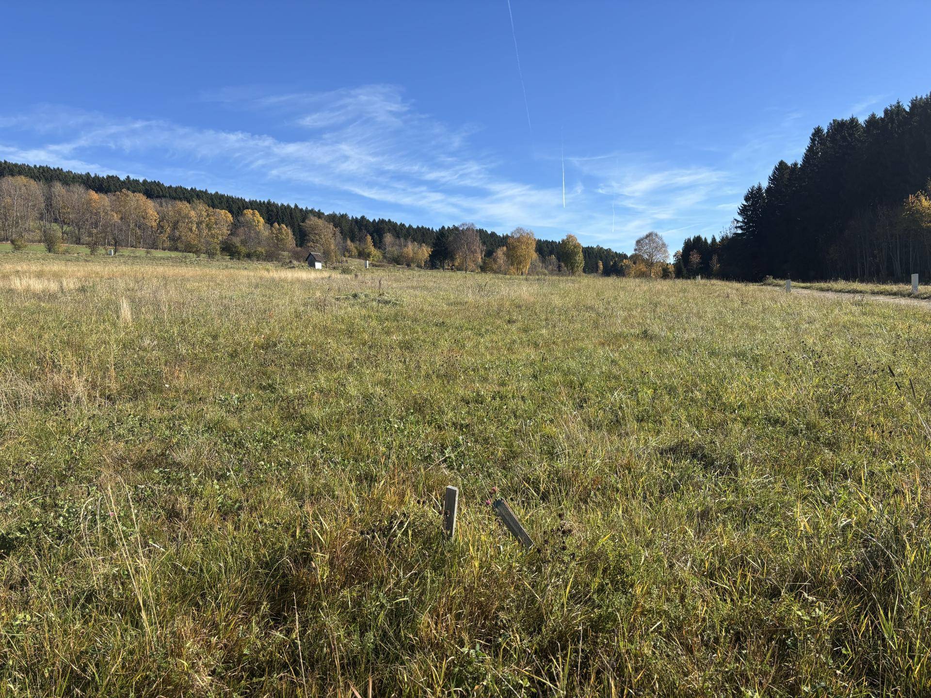 Baugrundstücke Grünbach bei Freistadt - Ansicht 3