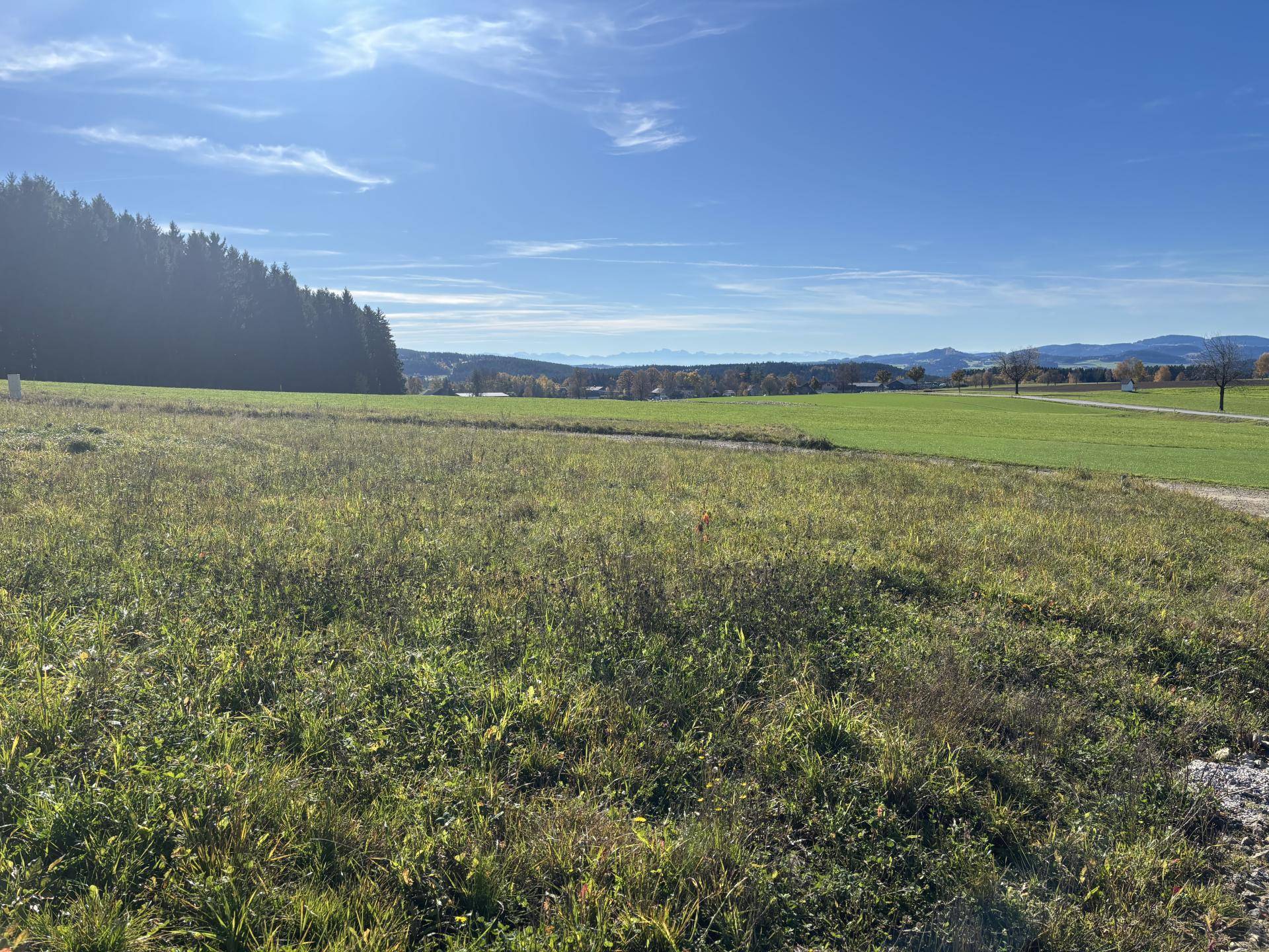 Baugrundstücke Grünbach bei Freistadt - Ansicht 4
