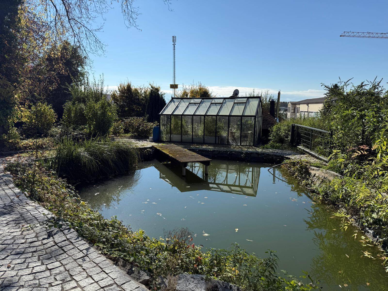 Teich mit Holzsteg und einem Gewächshaus, umgeben von Bäumen und Sträuchern unter blauem Himmel.