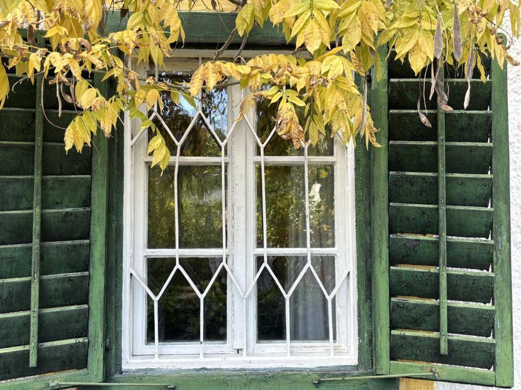 Nahaufnahme eines Fensters mit traditionellen grünen Fensterläden und dekorativem Gitterwerk.